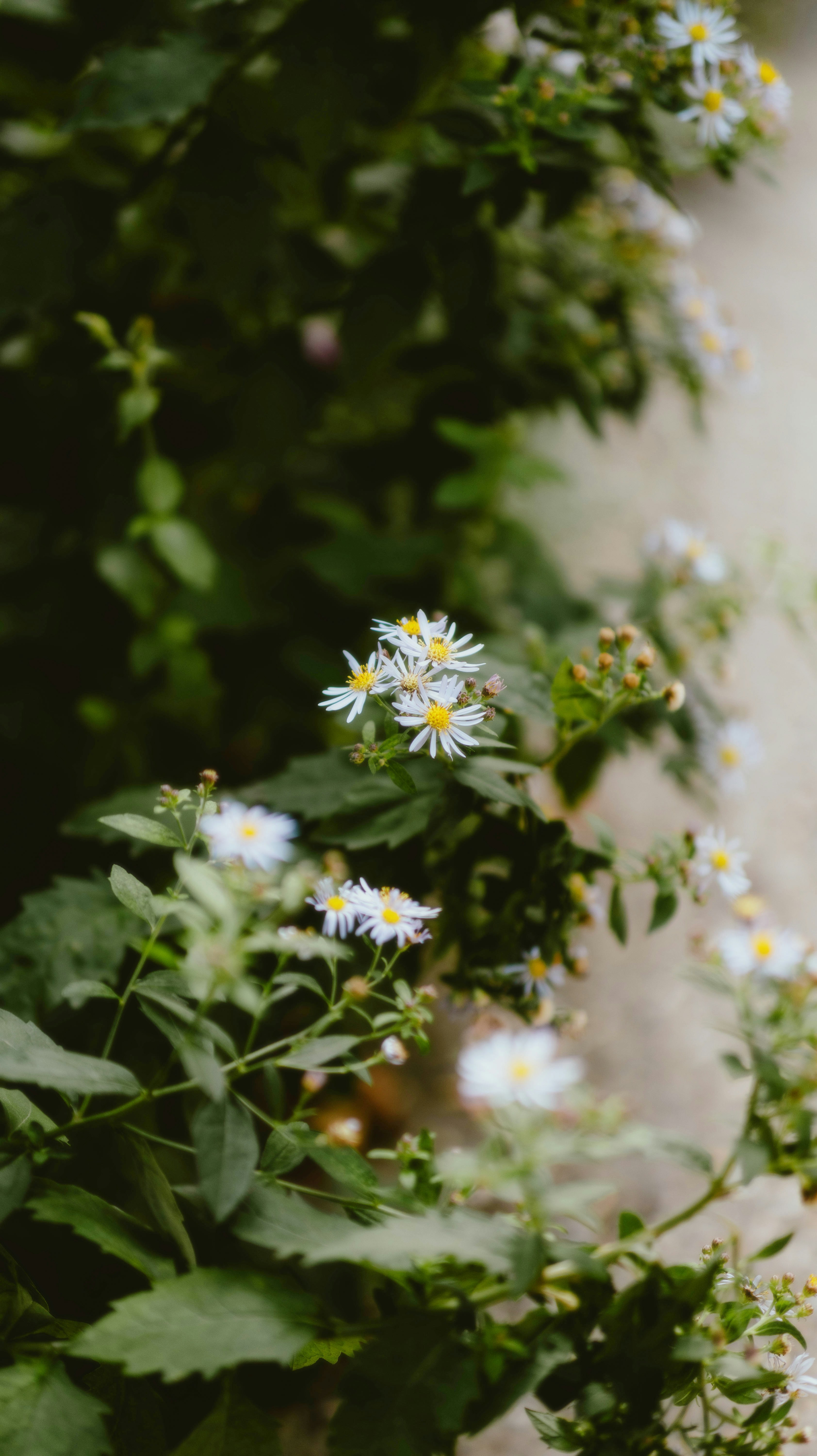 Photo by alingavriliuc