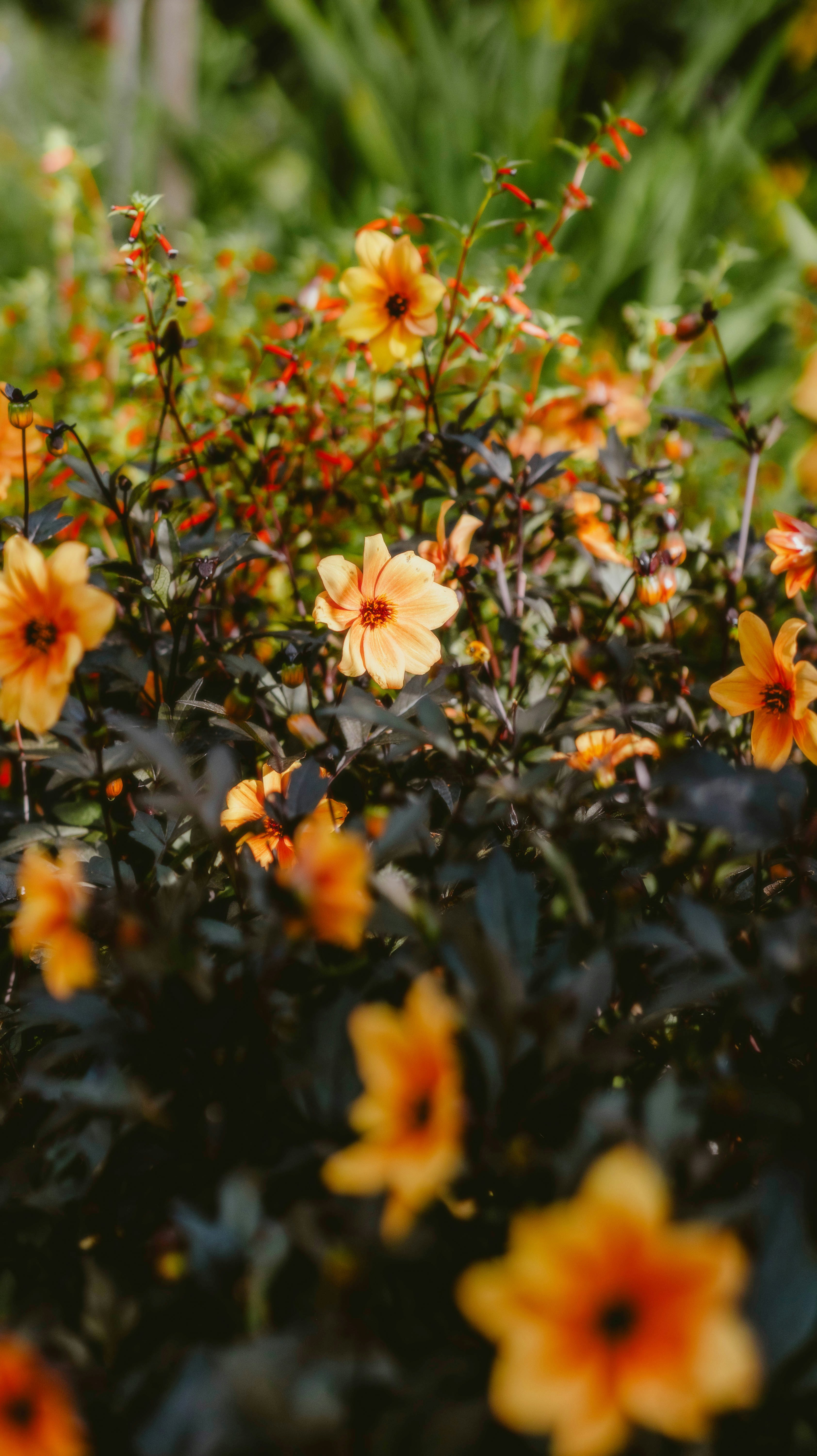 Photo by alingavriliuc