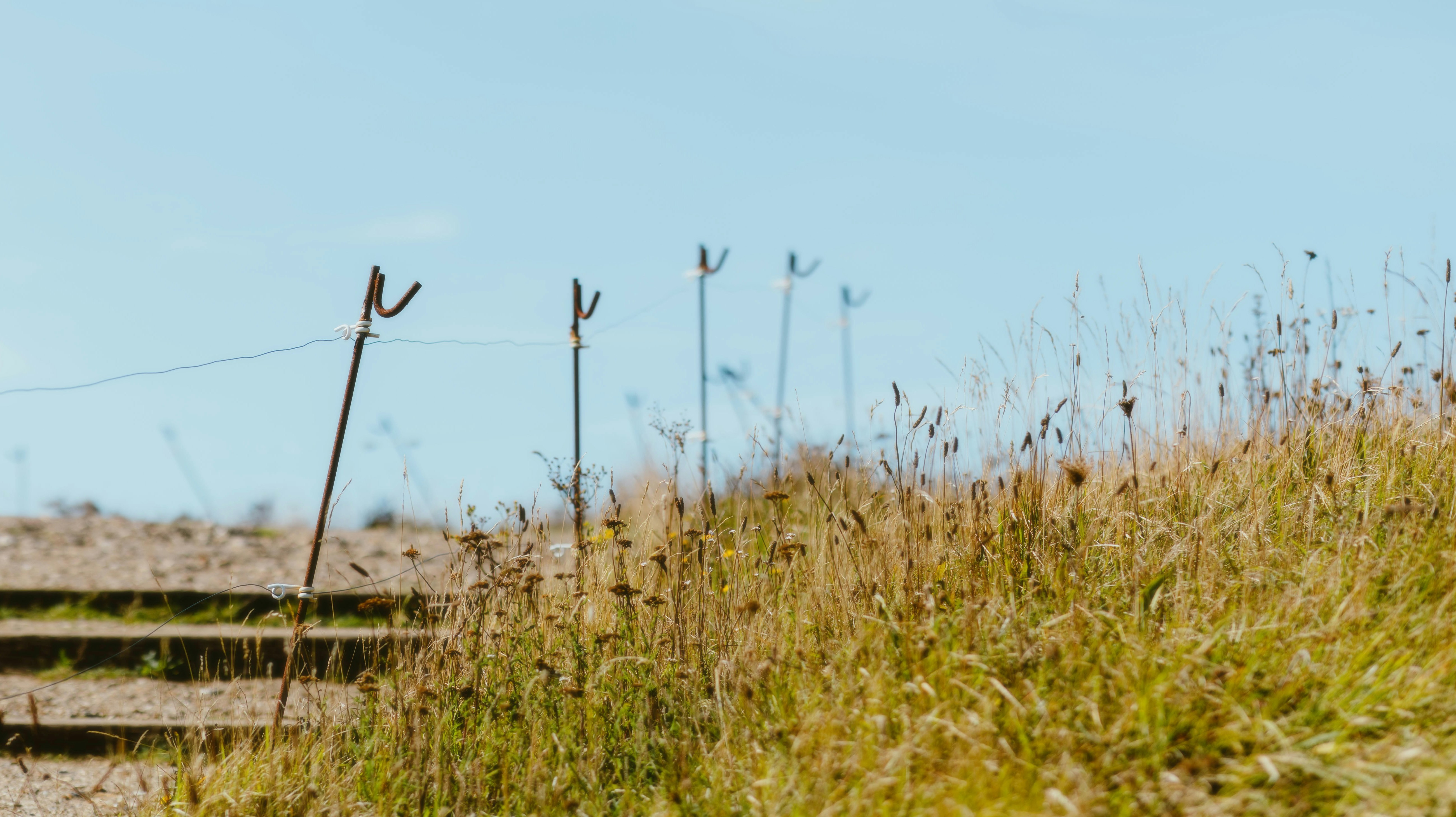 Photo by alingavriliuc