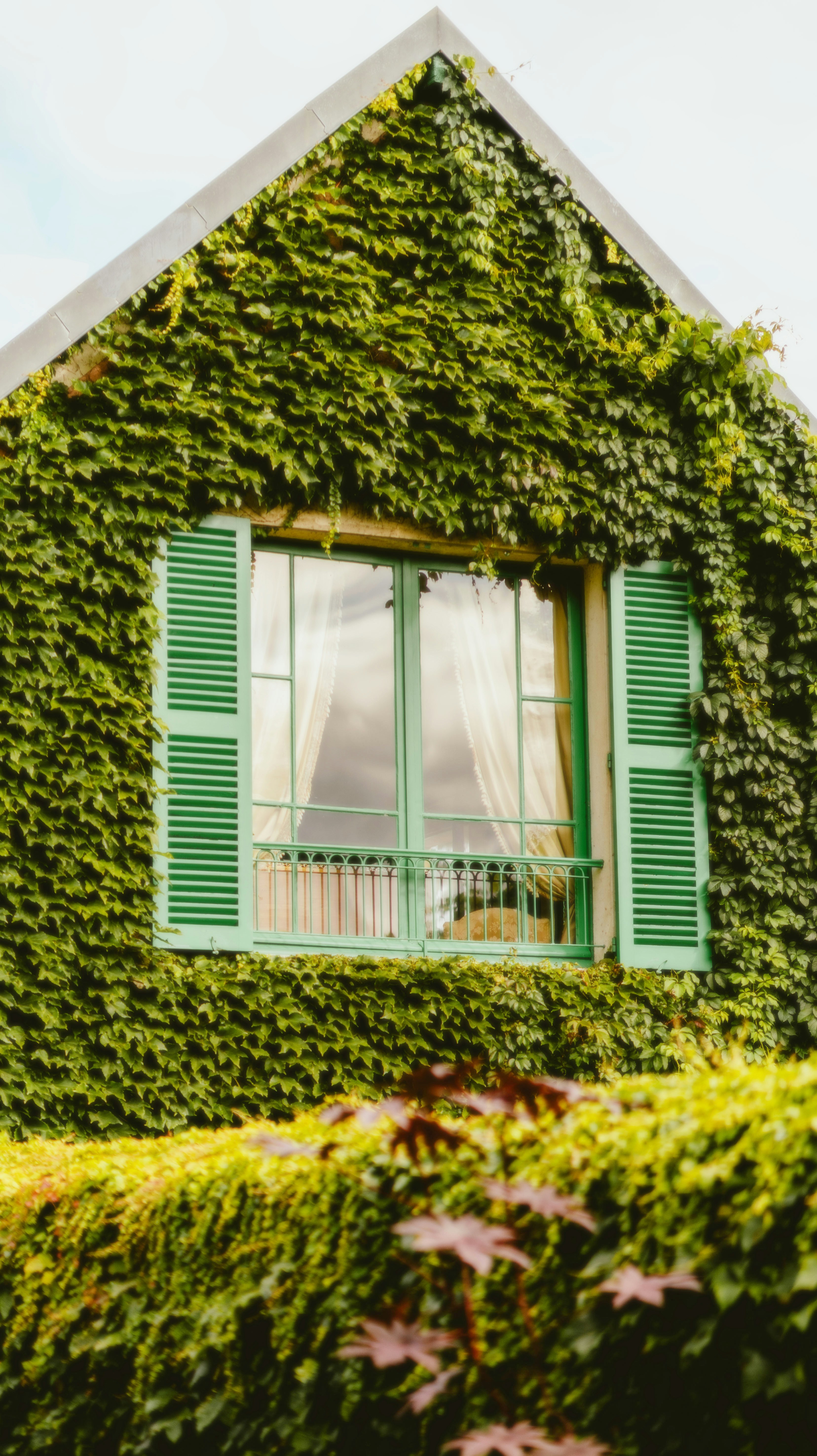 Photo by alingavriliuc