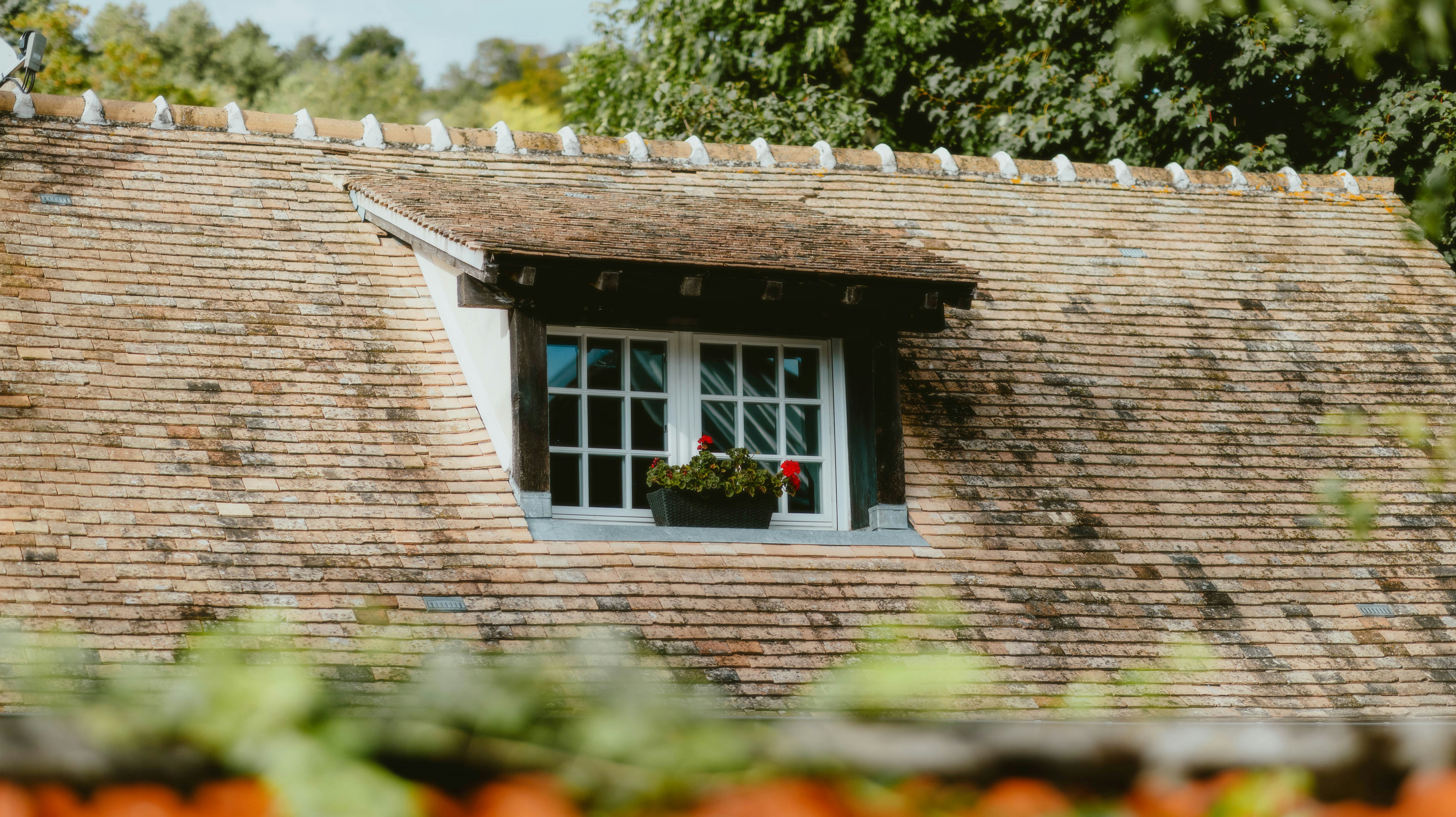 A house with a thatched roof and a window