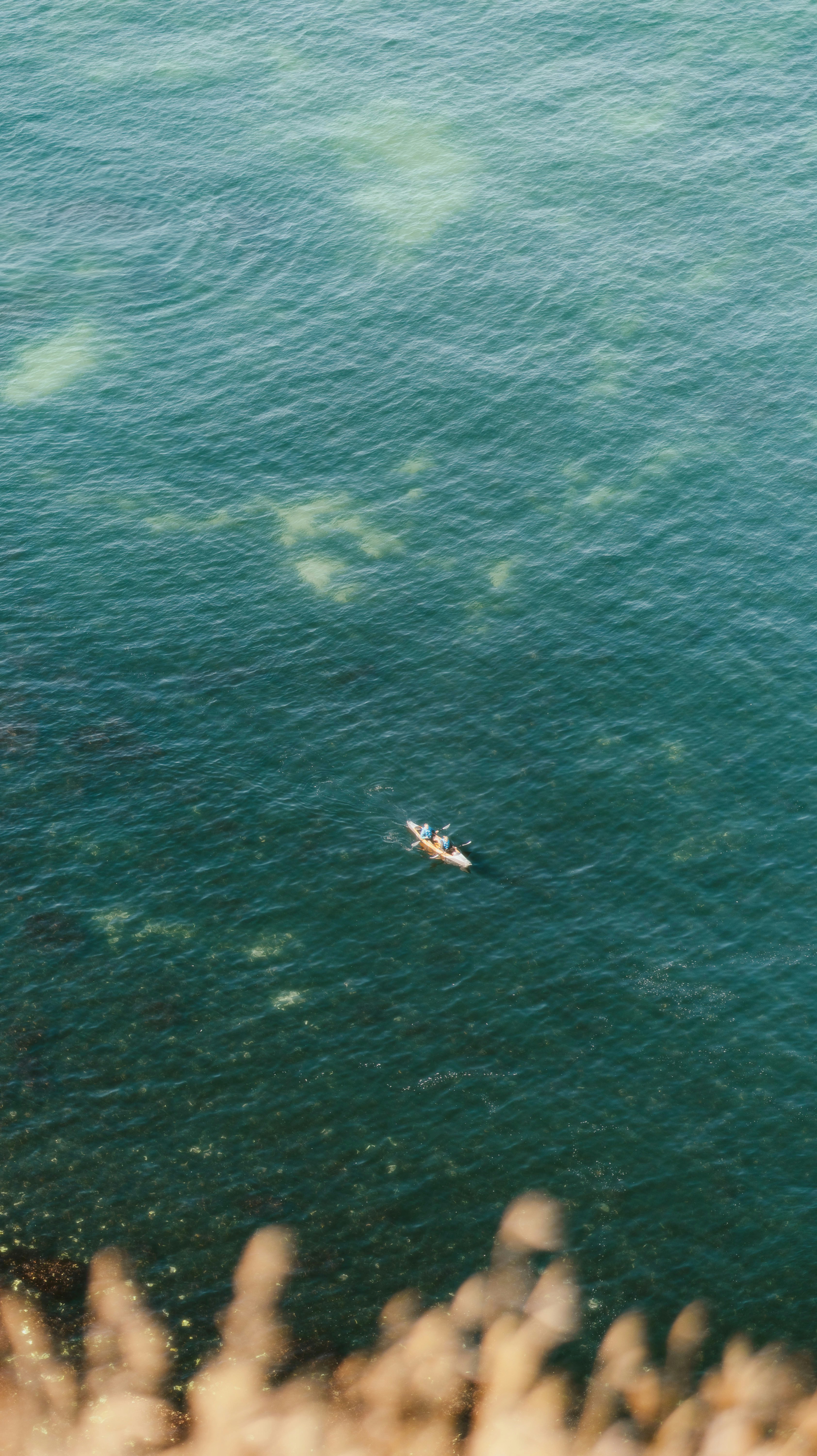 Photo by alingavriliuc