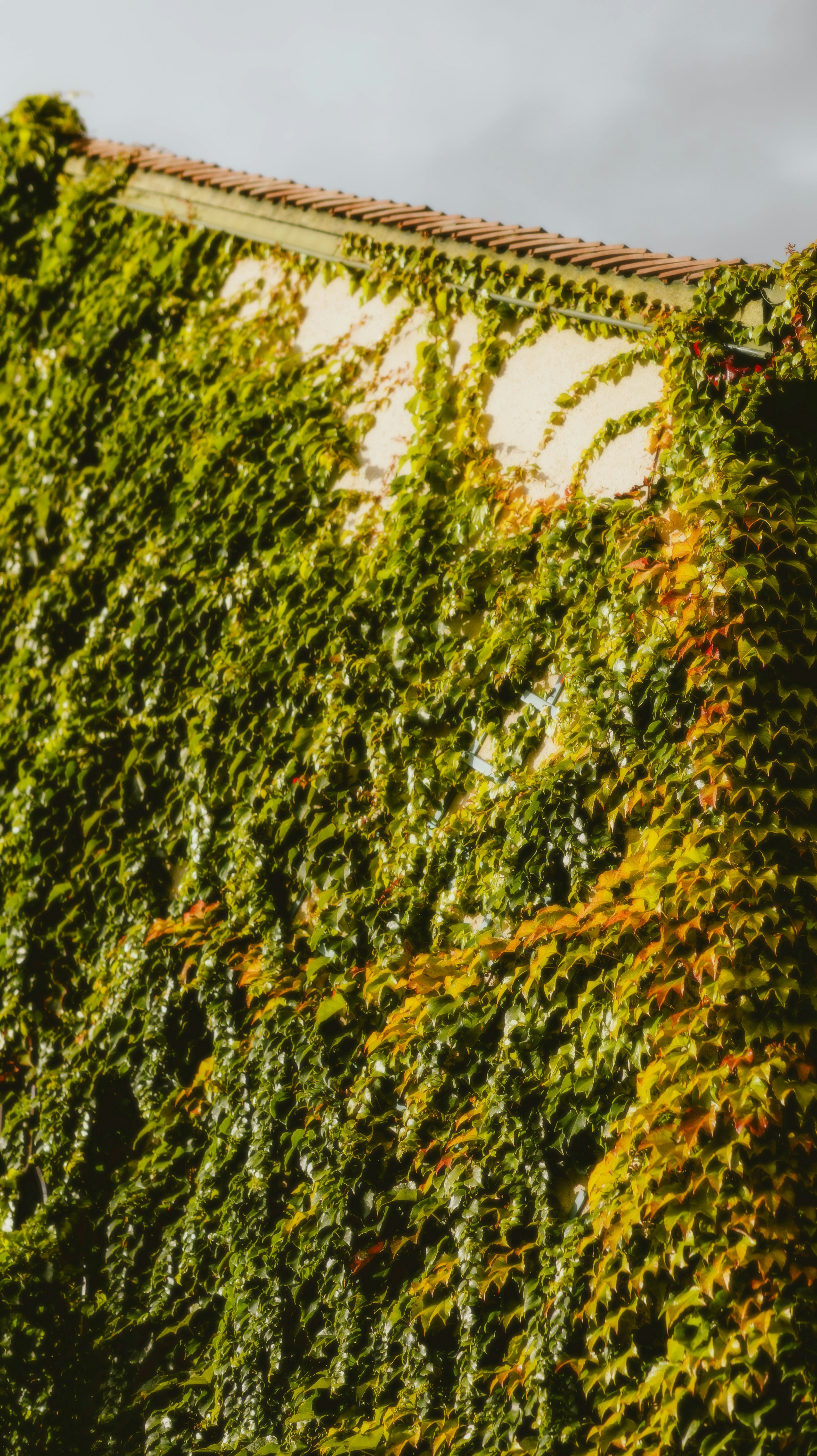 Photo by alingavriliuc