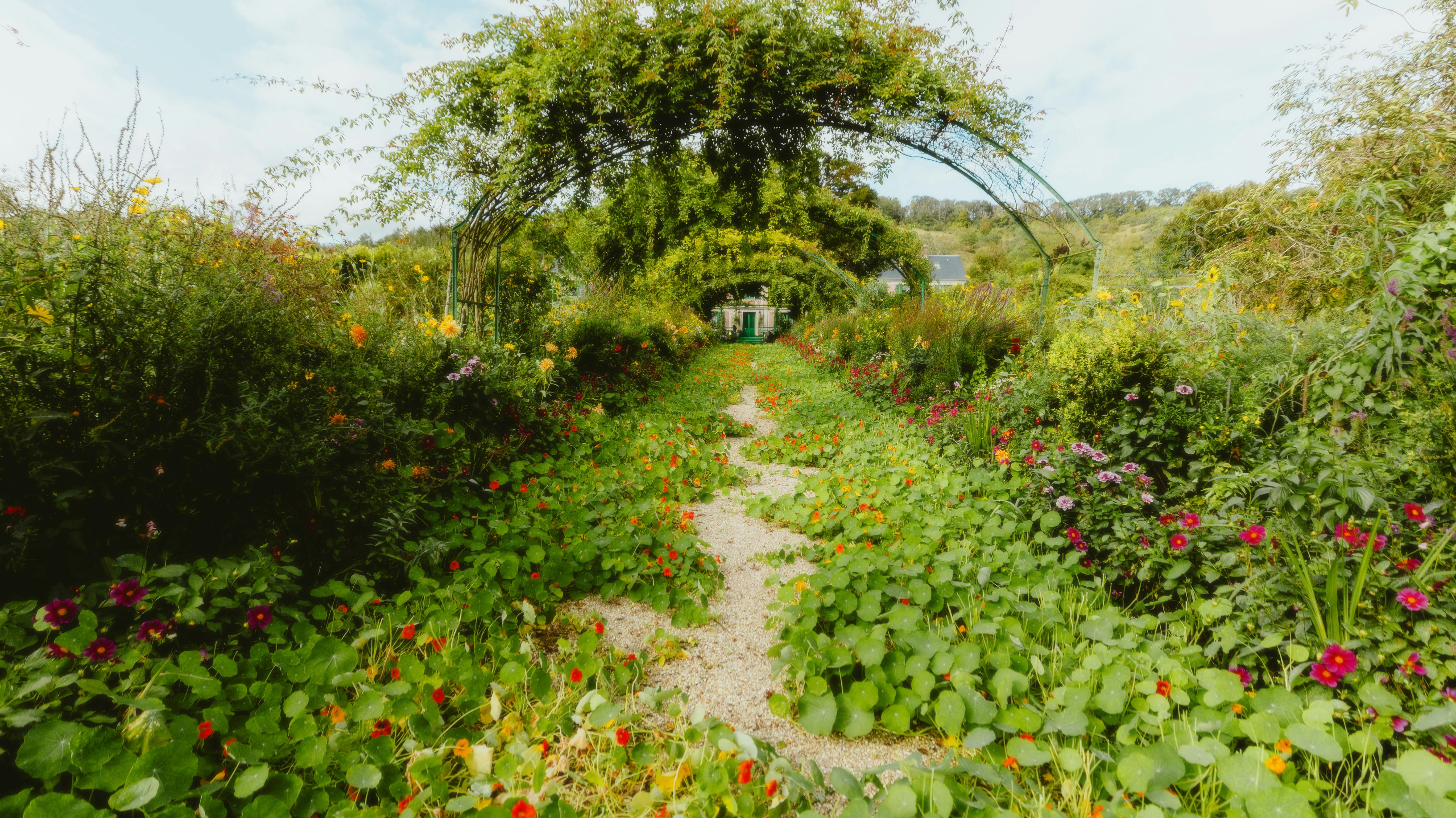 Fiori e Piante Esclusive
