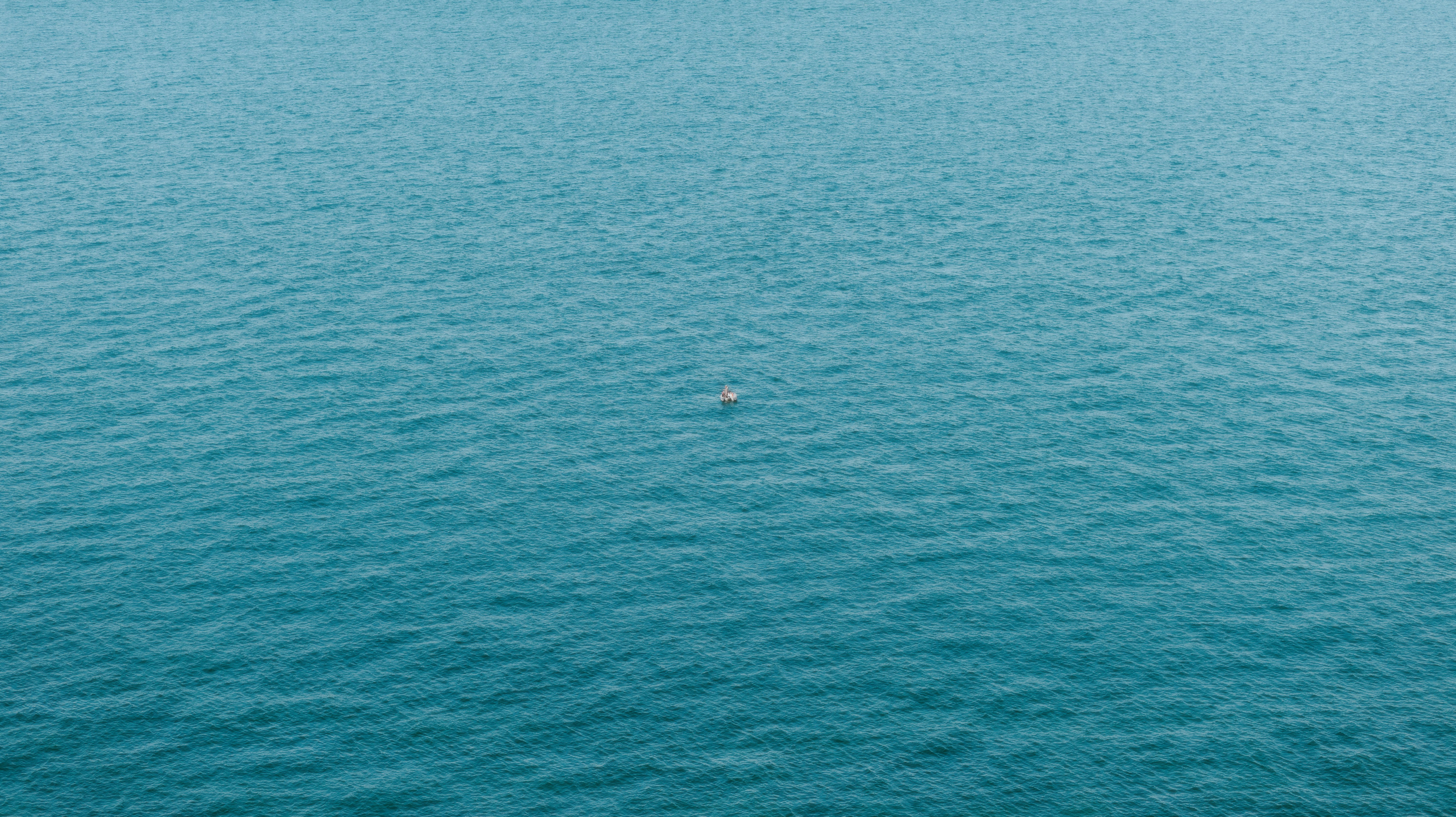 Photo by alingavriliuc