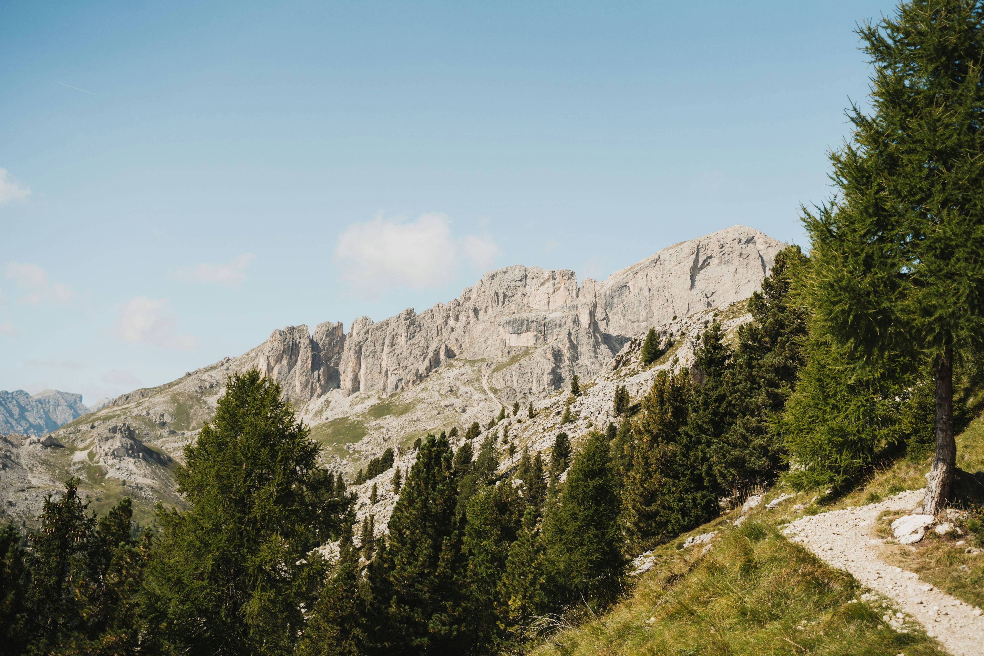 Photo by kirsten_frank