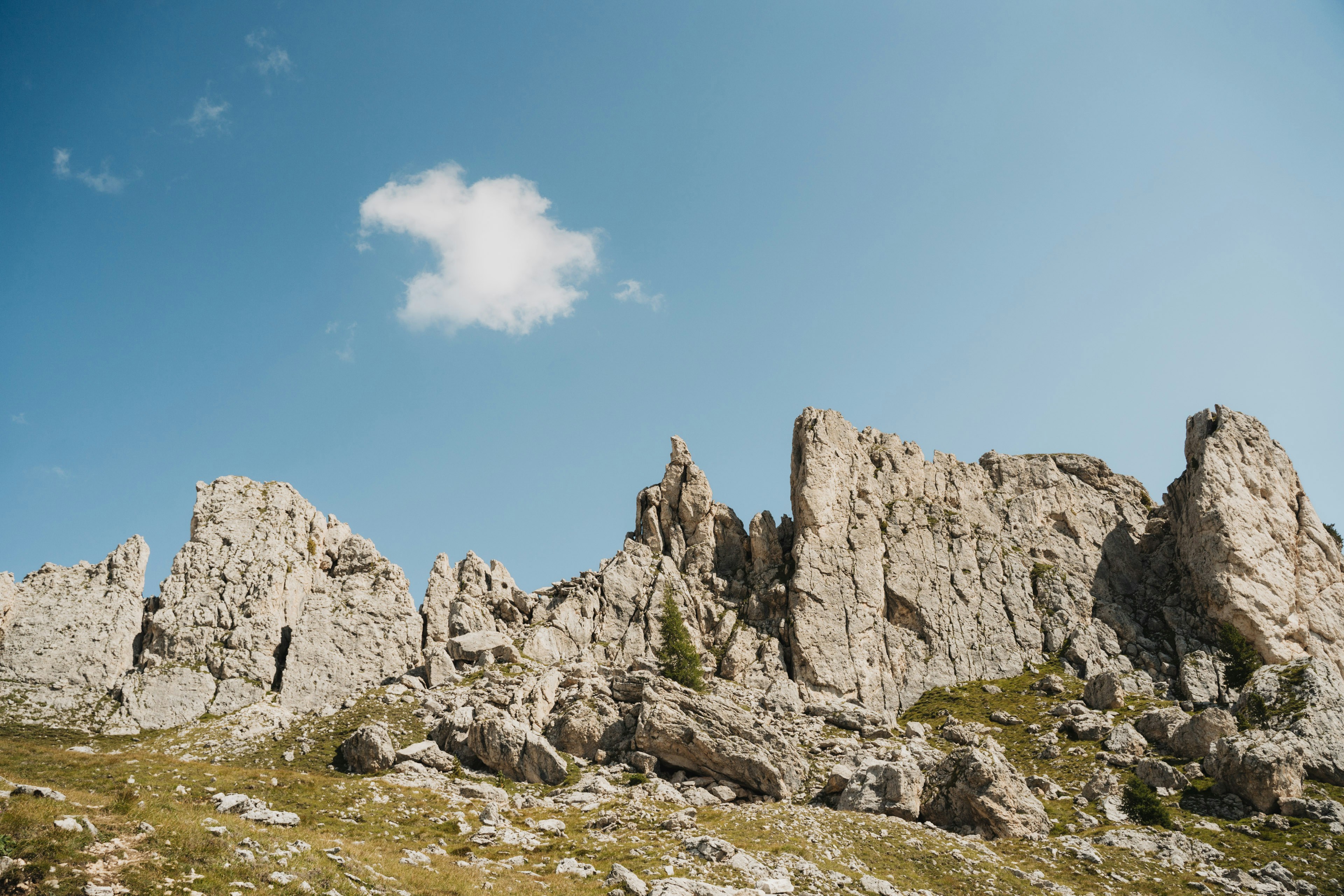 Photo by kirsten_frank