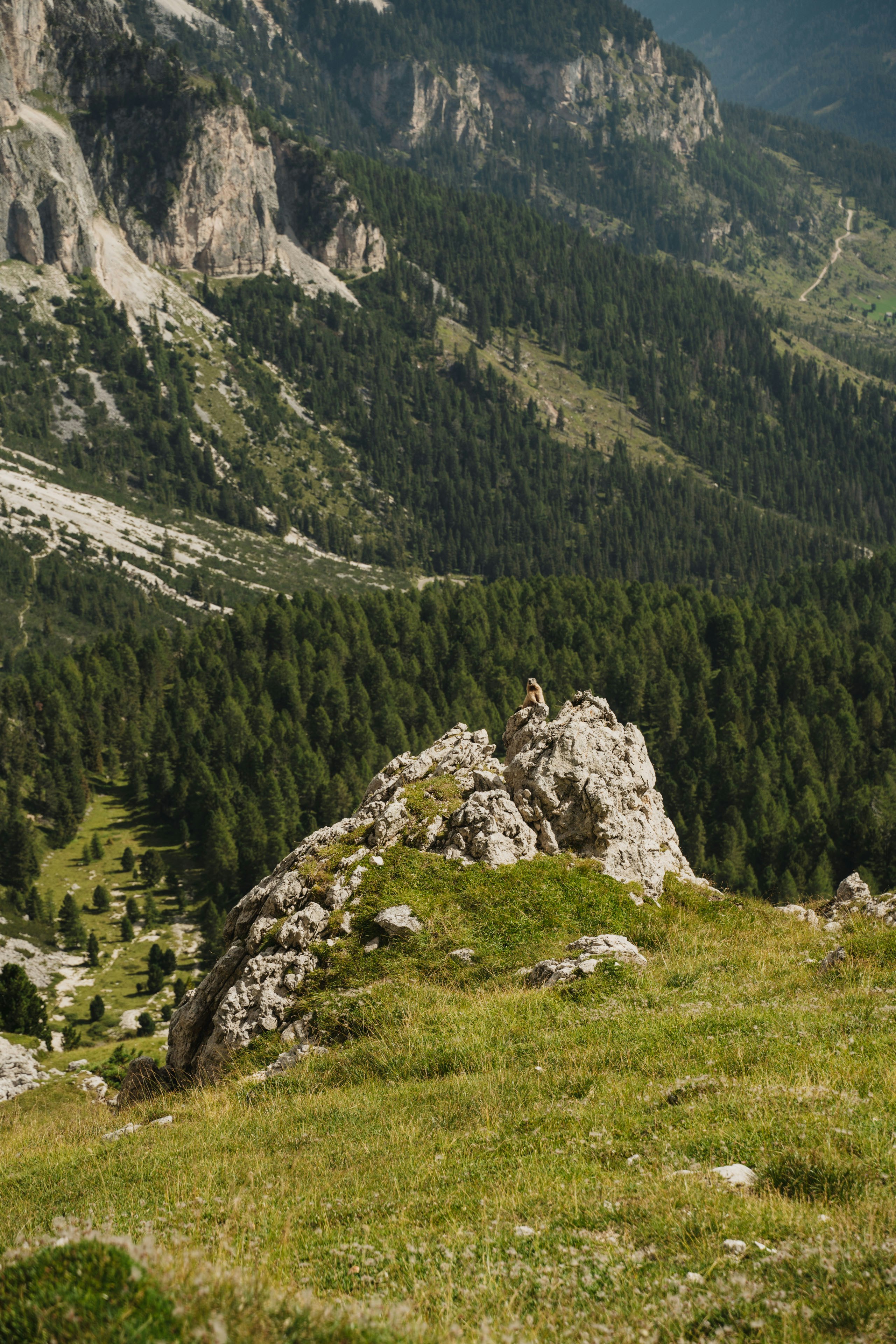 Photo by kirsten_frank