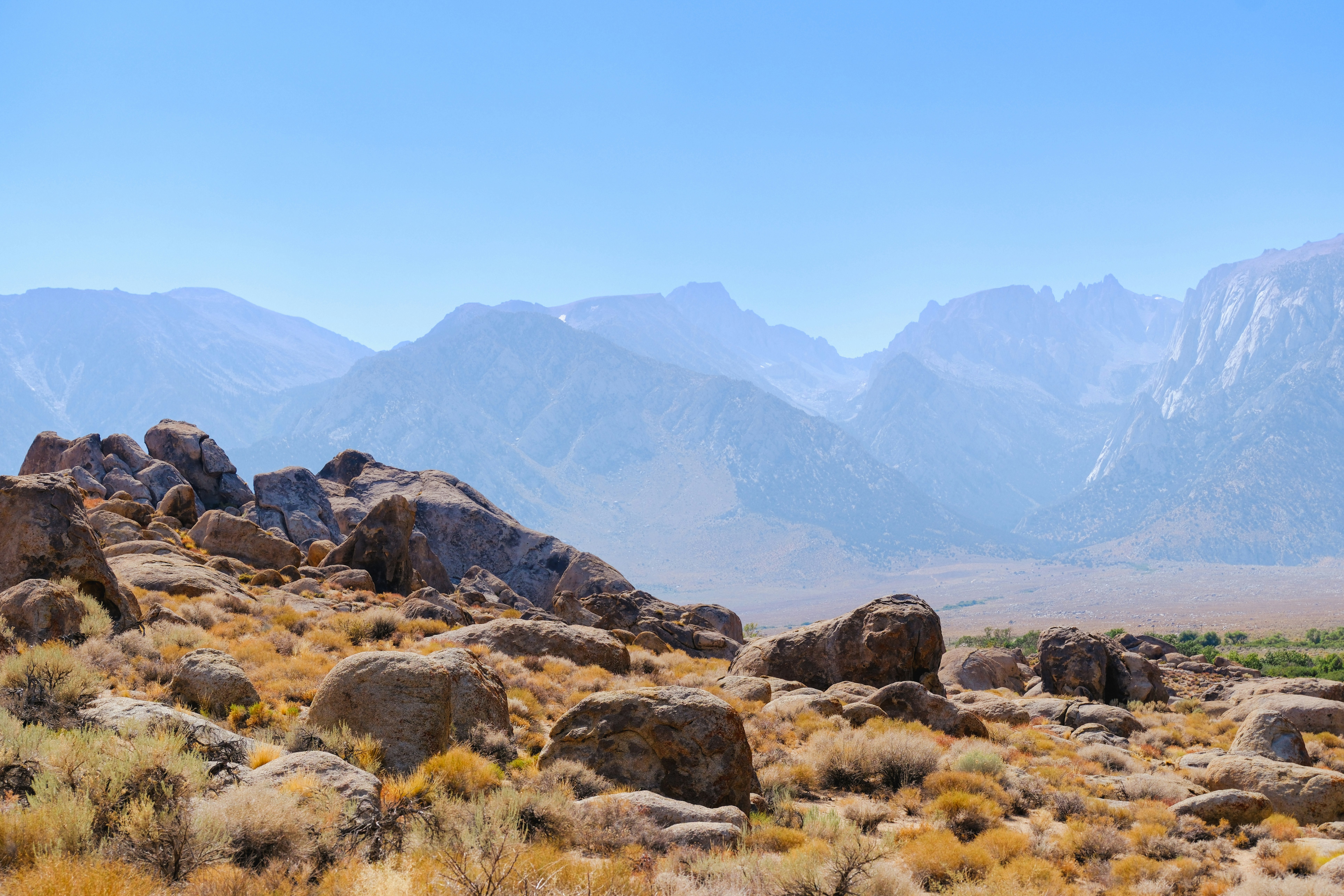 Photo by markthethomas