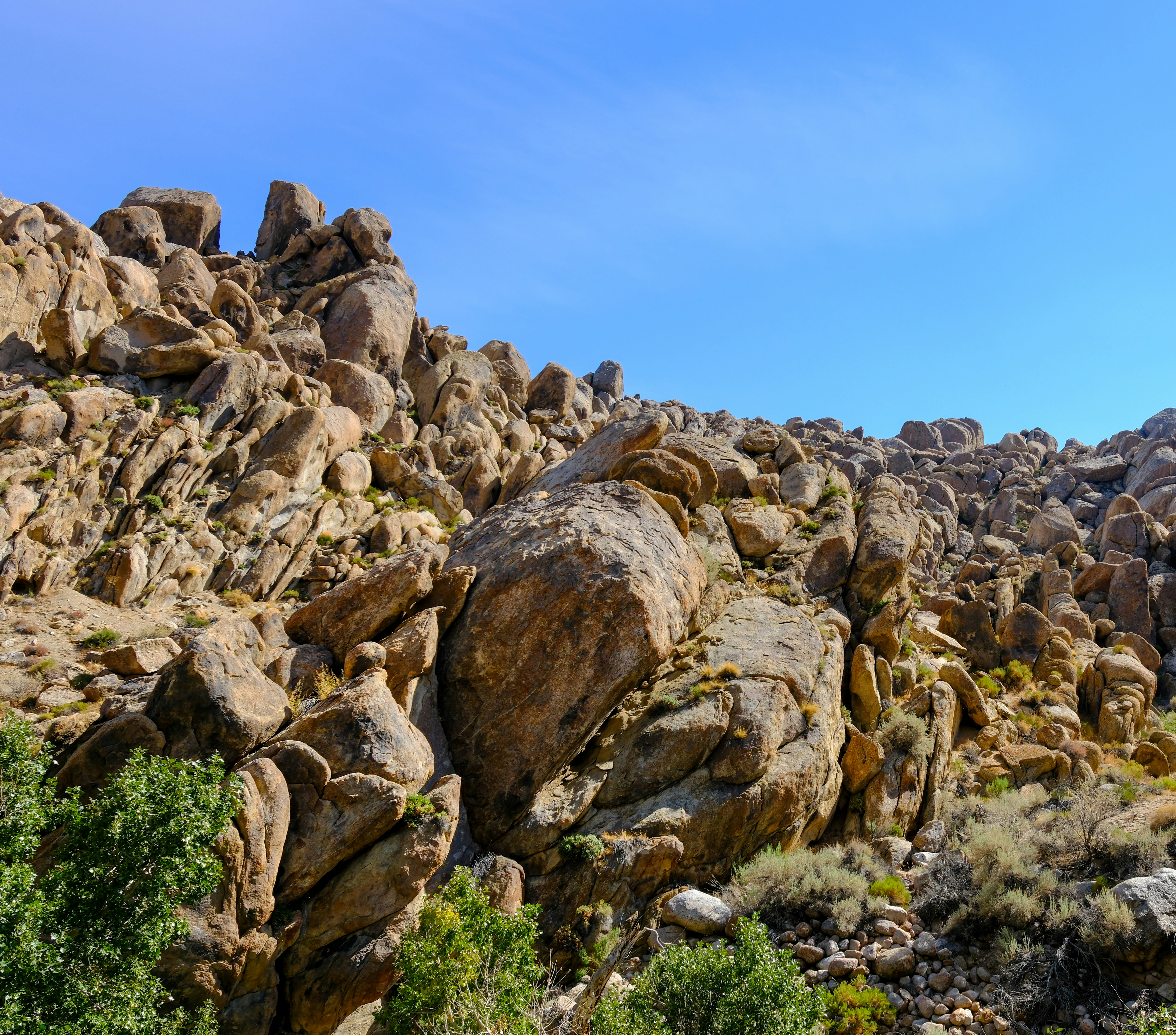 Photo by markthethomas