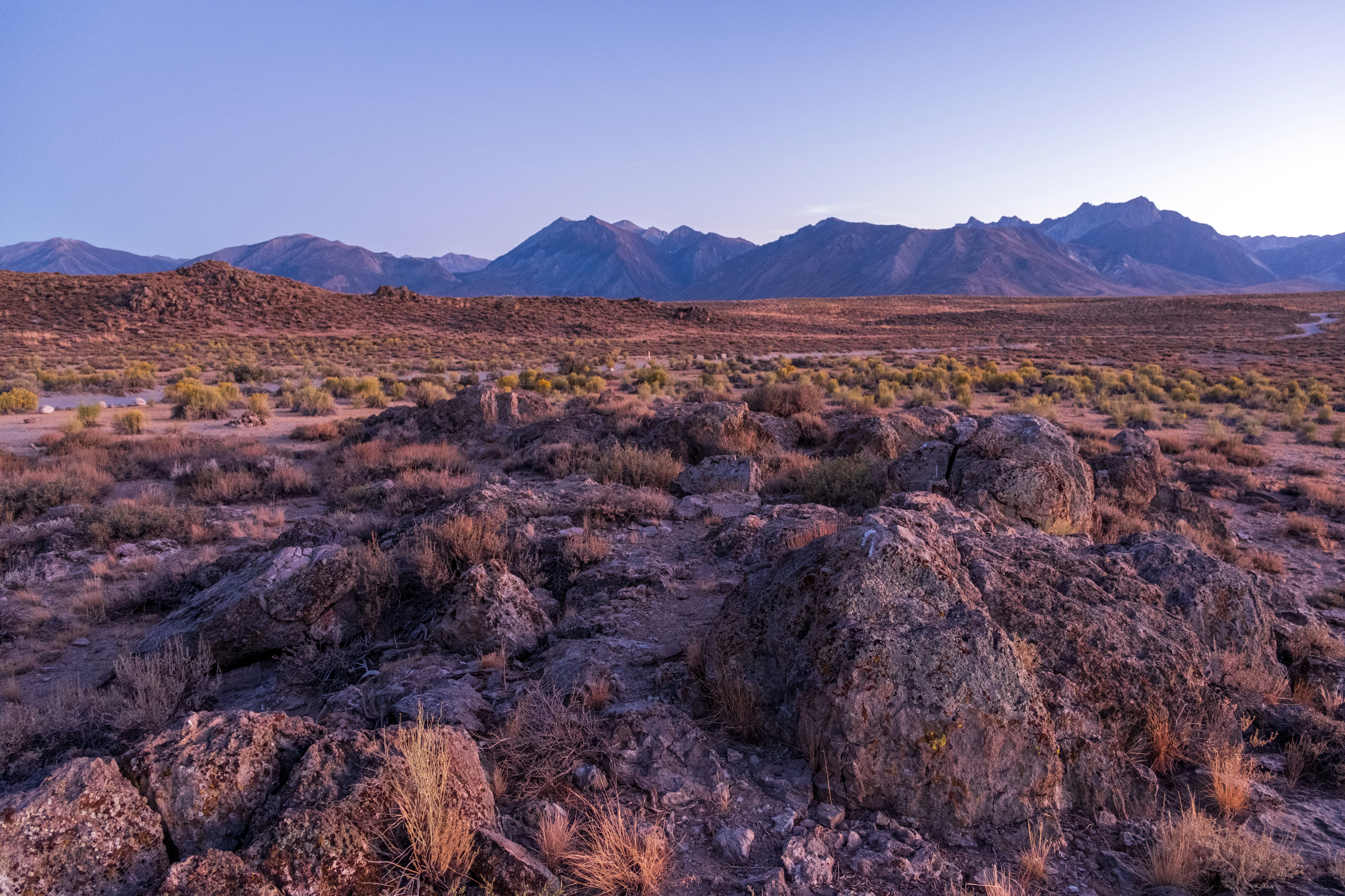 Photo by markthethomas