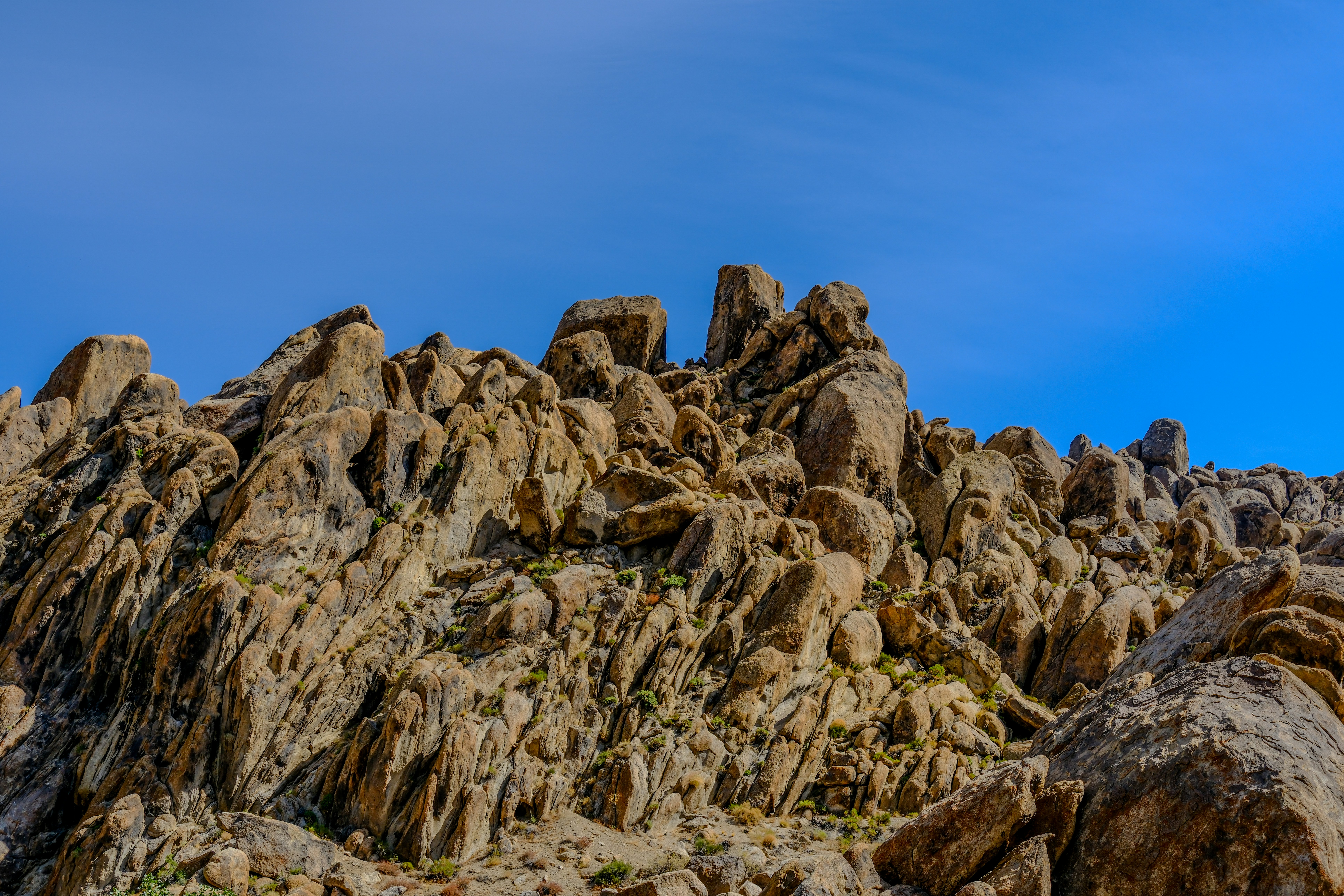 Photo by markthethomas