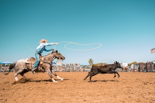 Roping Horse for sale