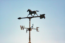 A weather vane with a horse on top of it