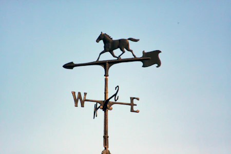 A weather vane with a horse on top of it