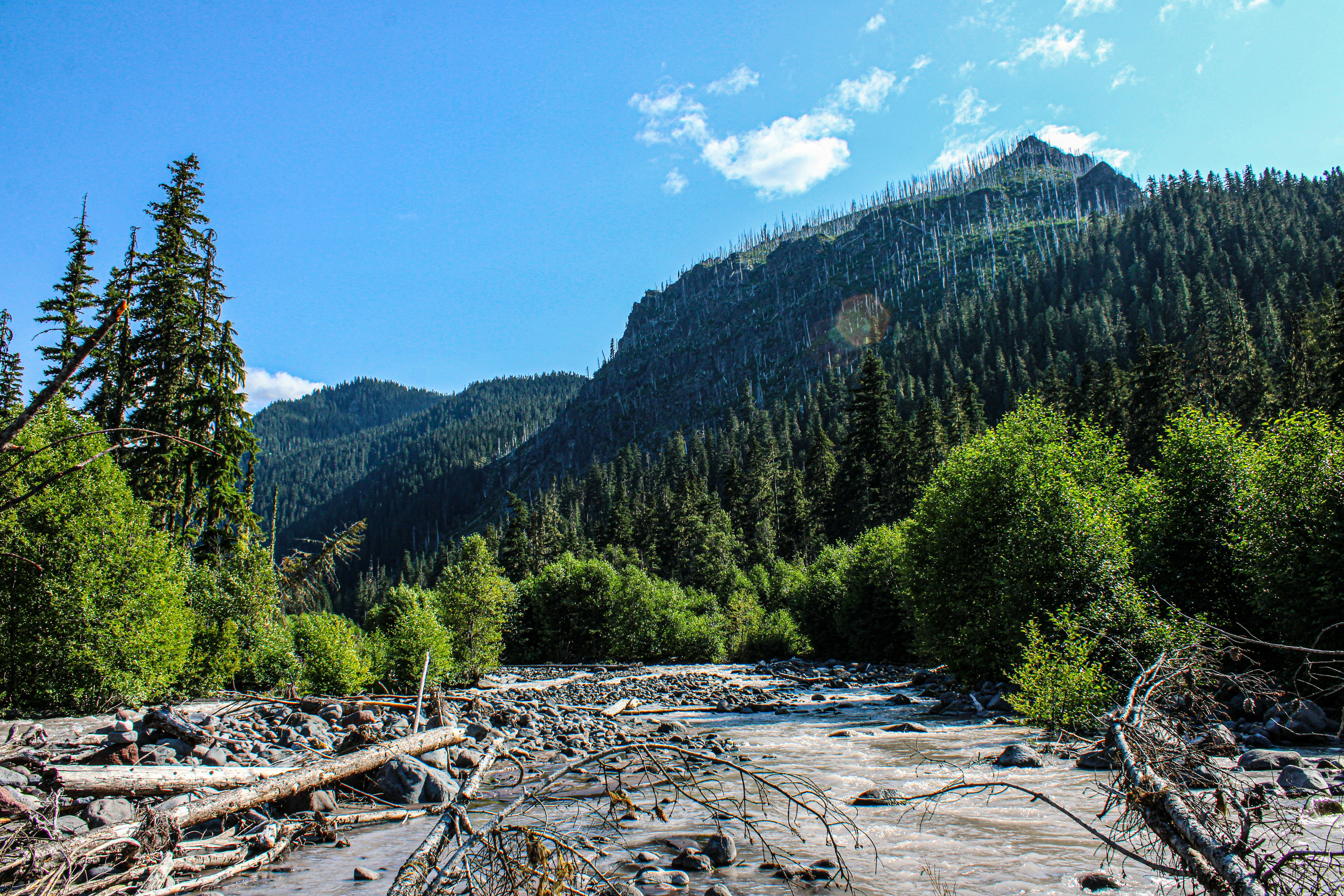 Photo by prphotography262