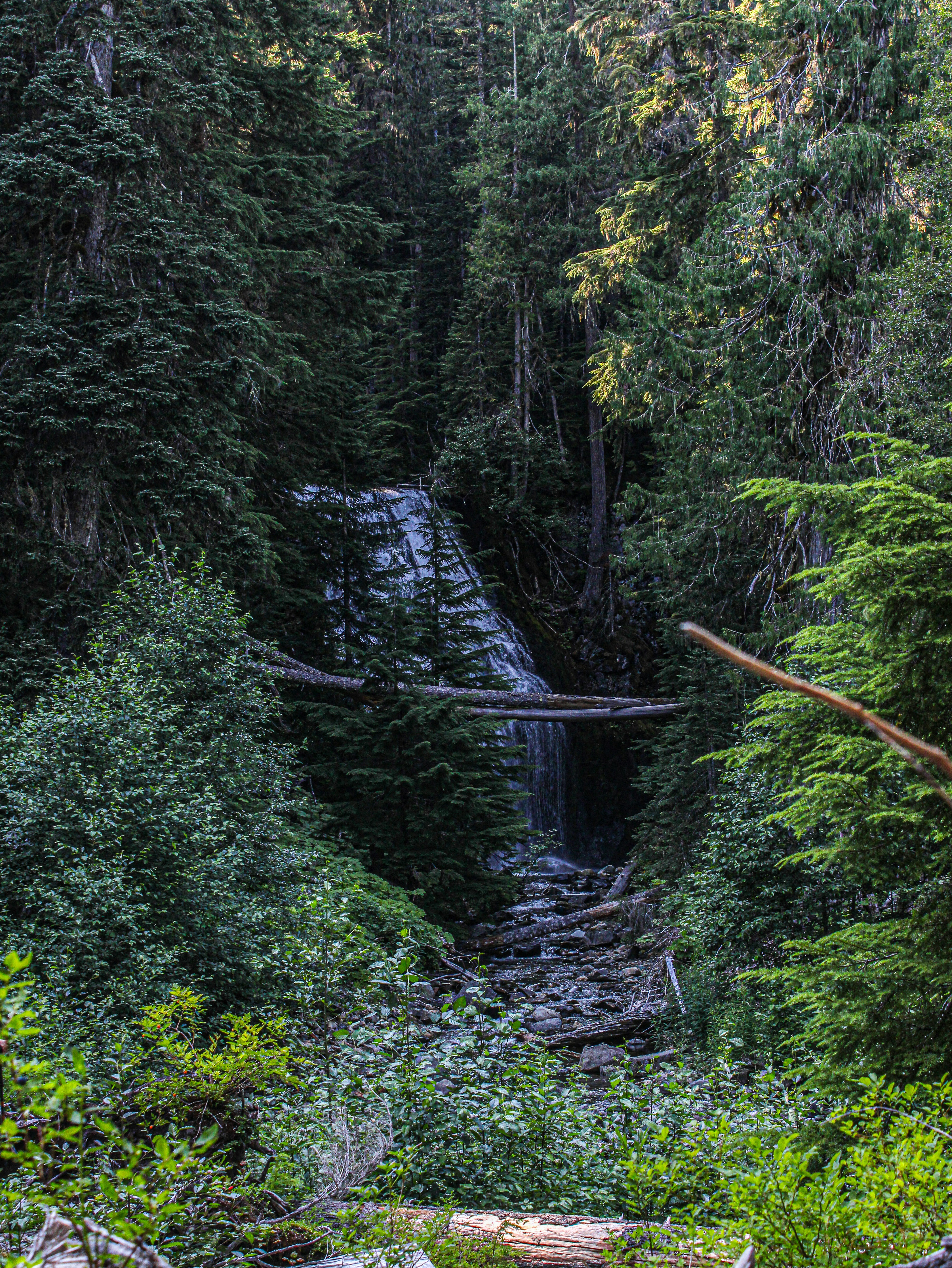 Photo by prphotography262