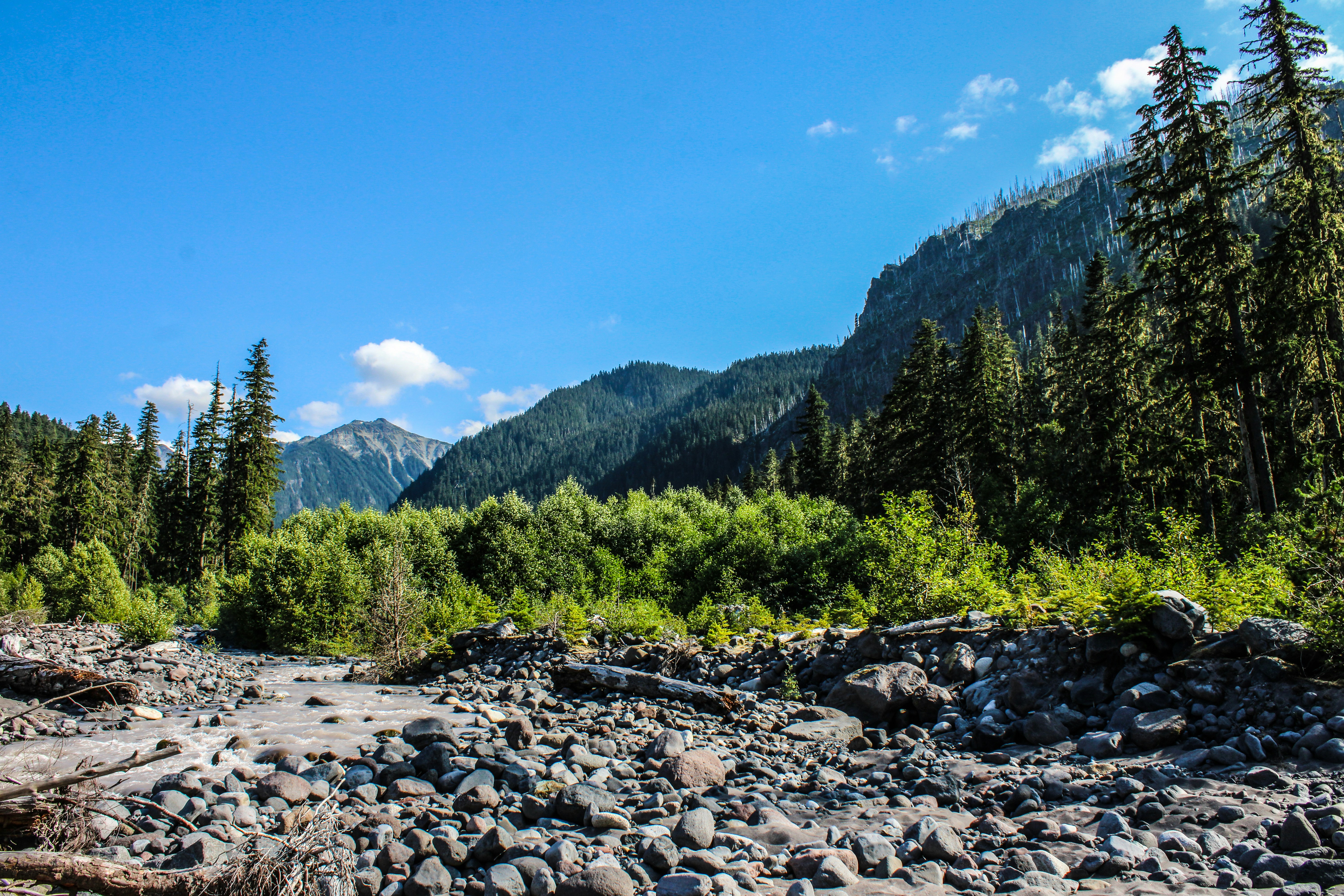 Photo by prphotography262