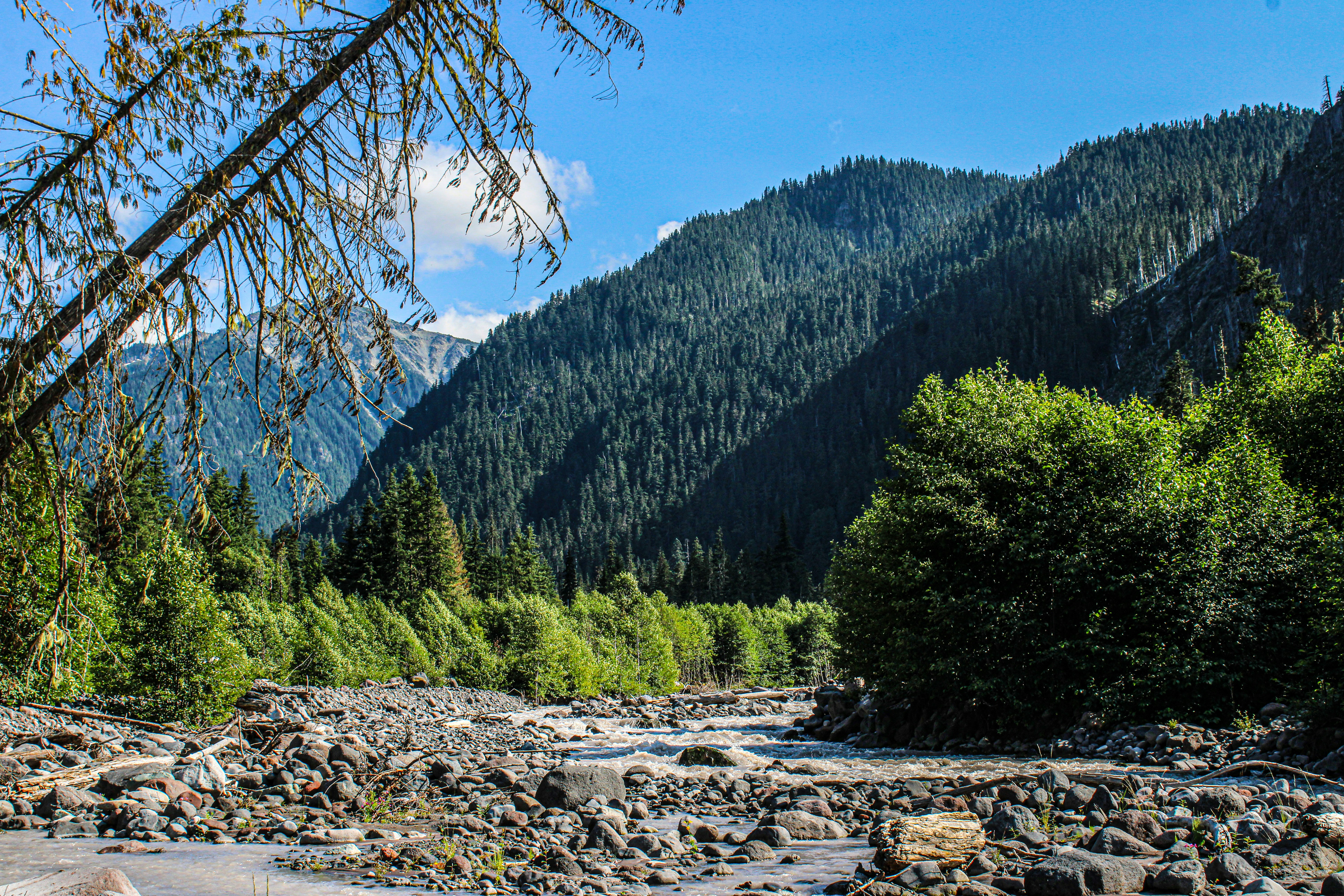 Photo by prphotography262