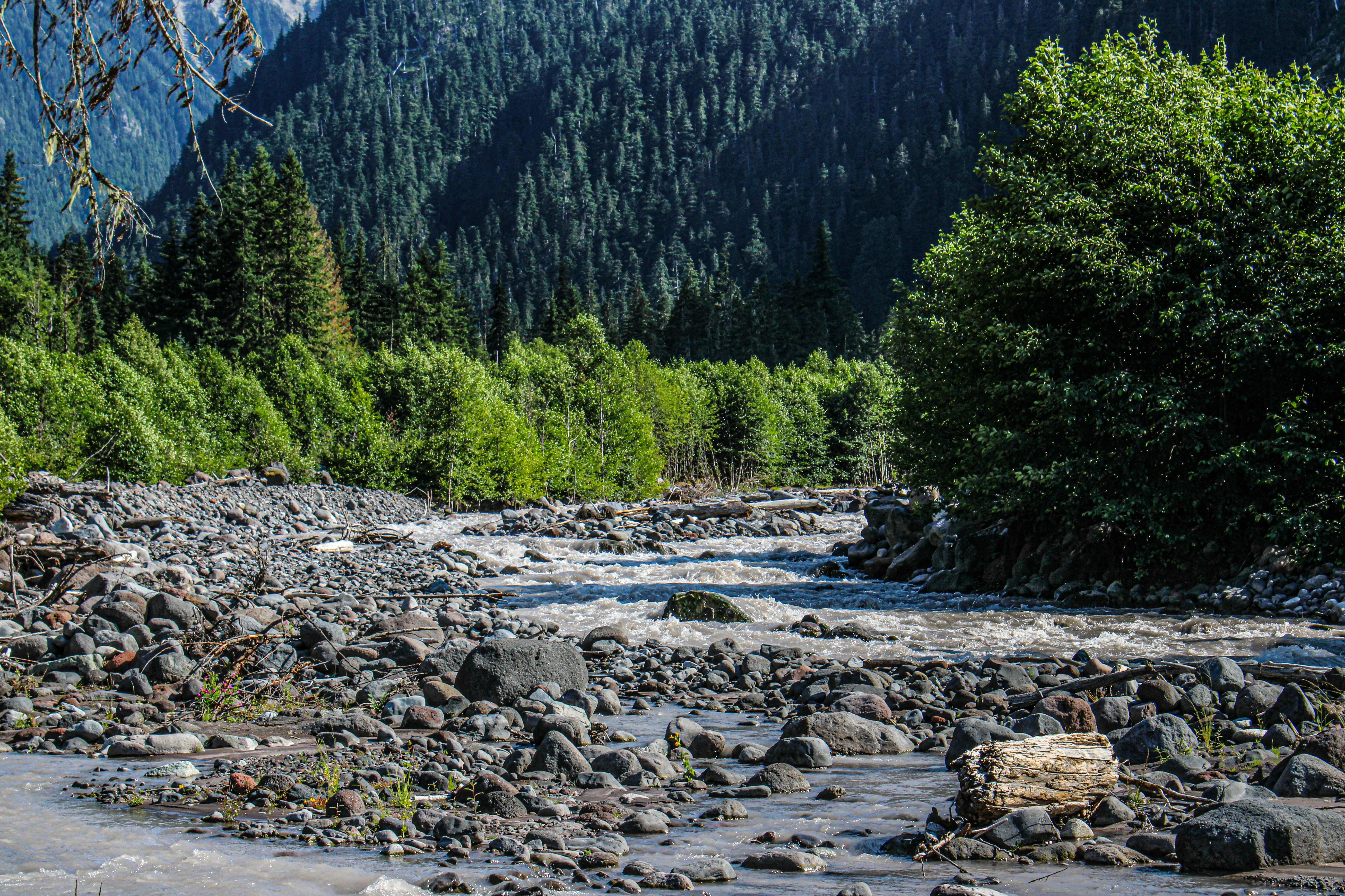 Photo by prphotography262