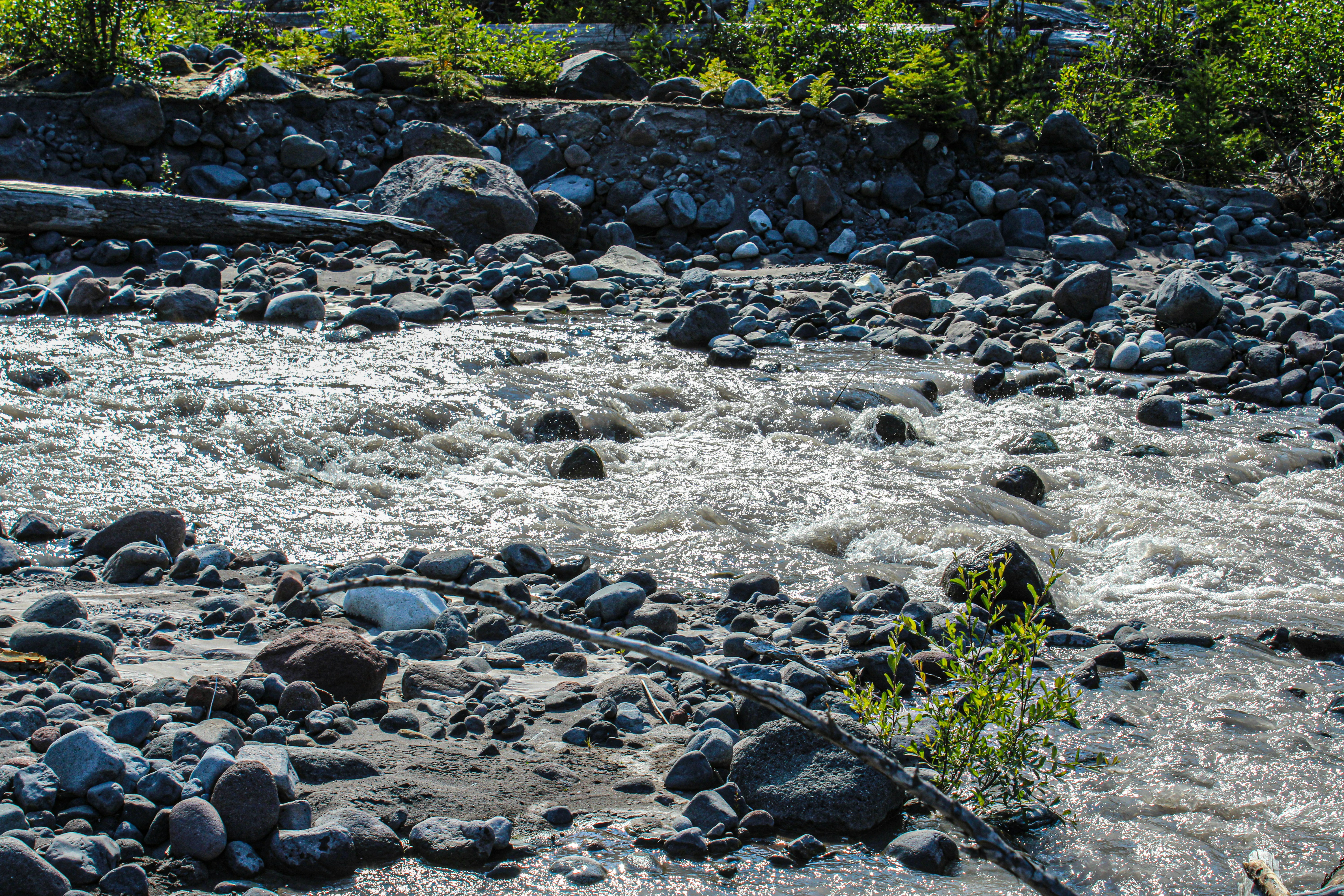 Photo by prphotography262