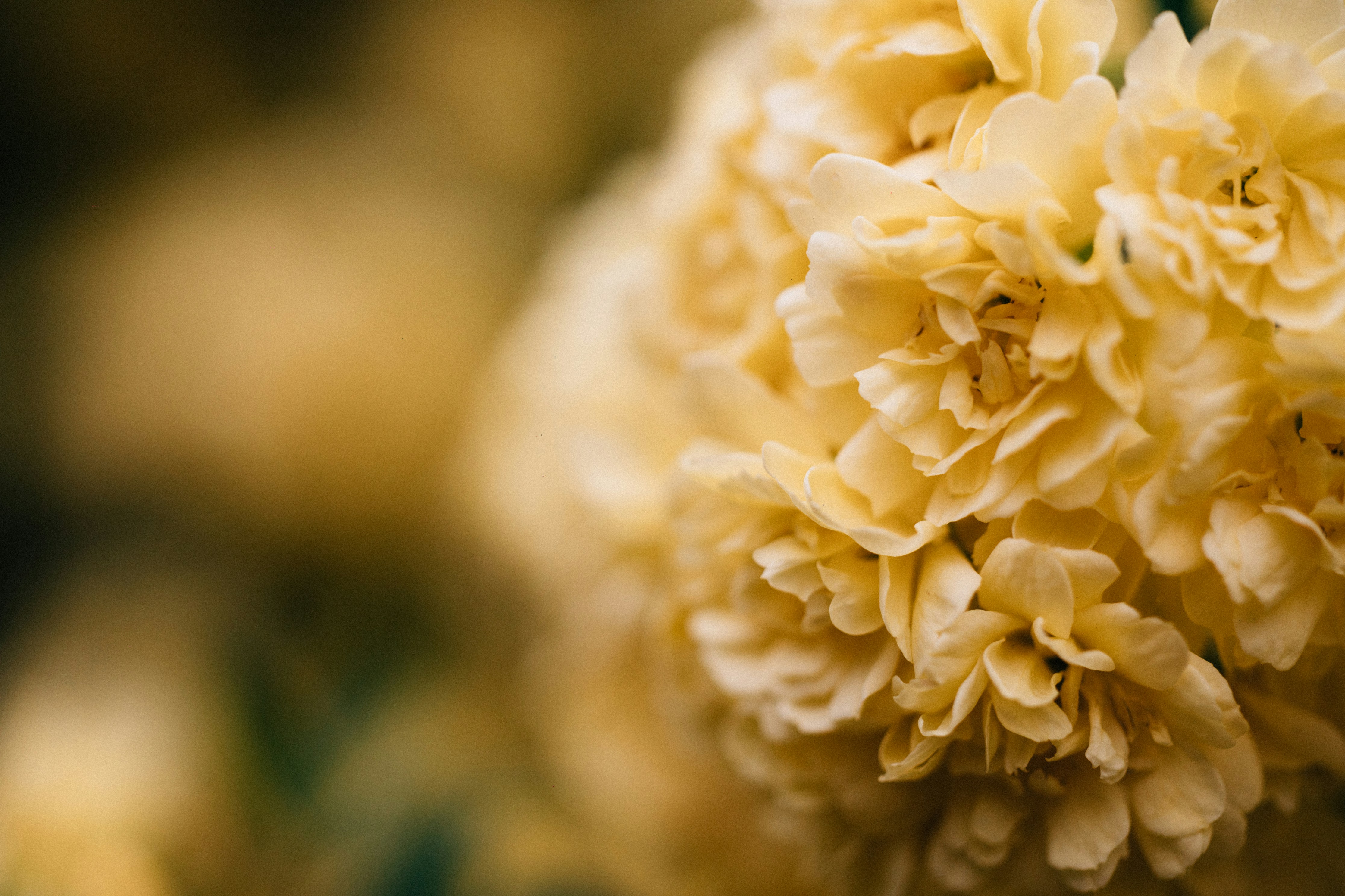 Photo by tsuyoshikozu