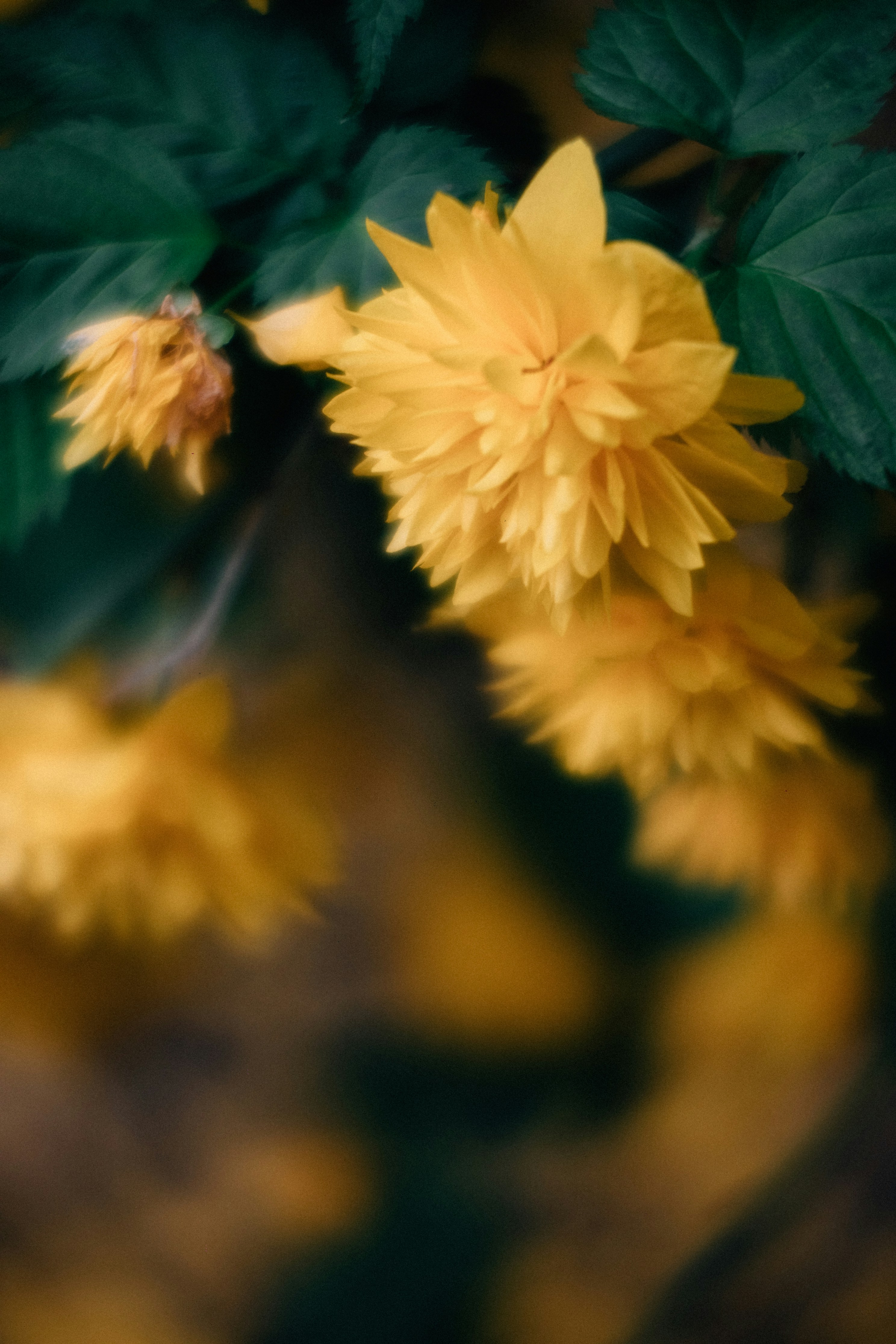 Photo by tsuyoshikozu