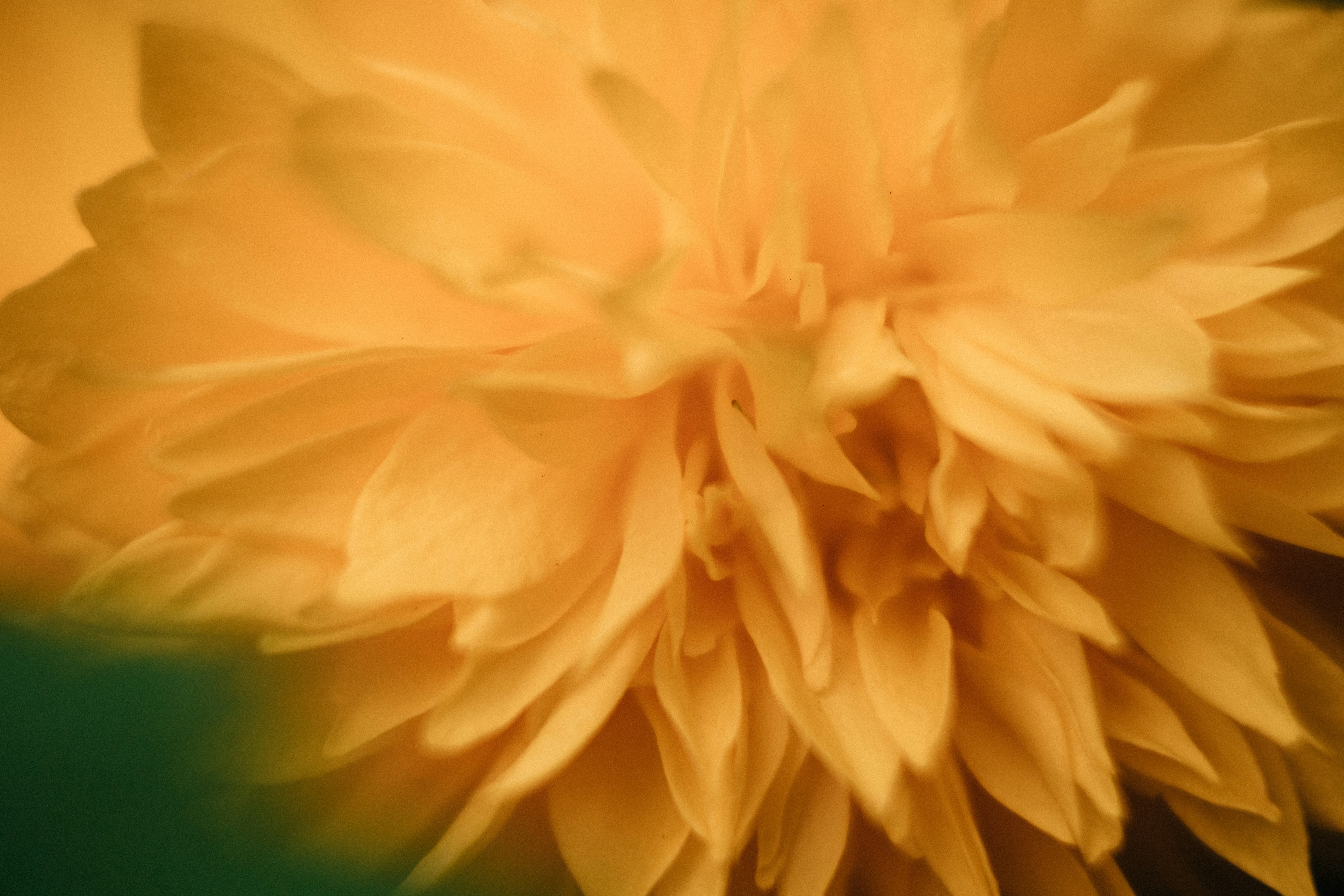 Photo by tsuyoshikozu