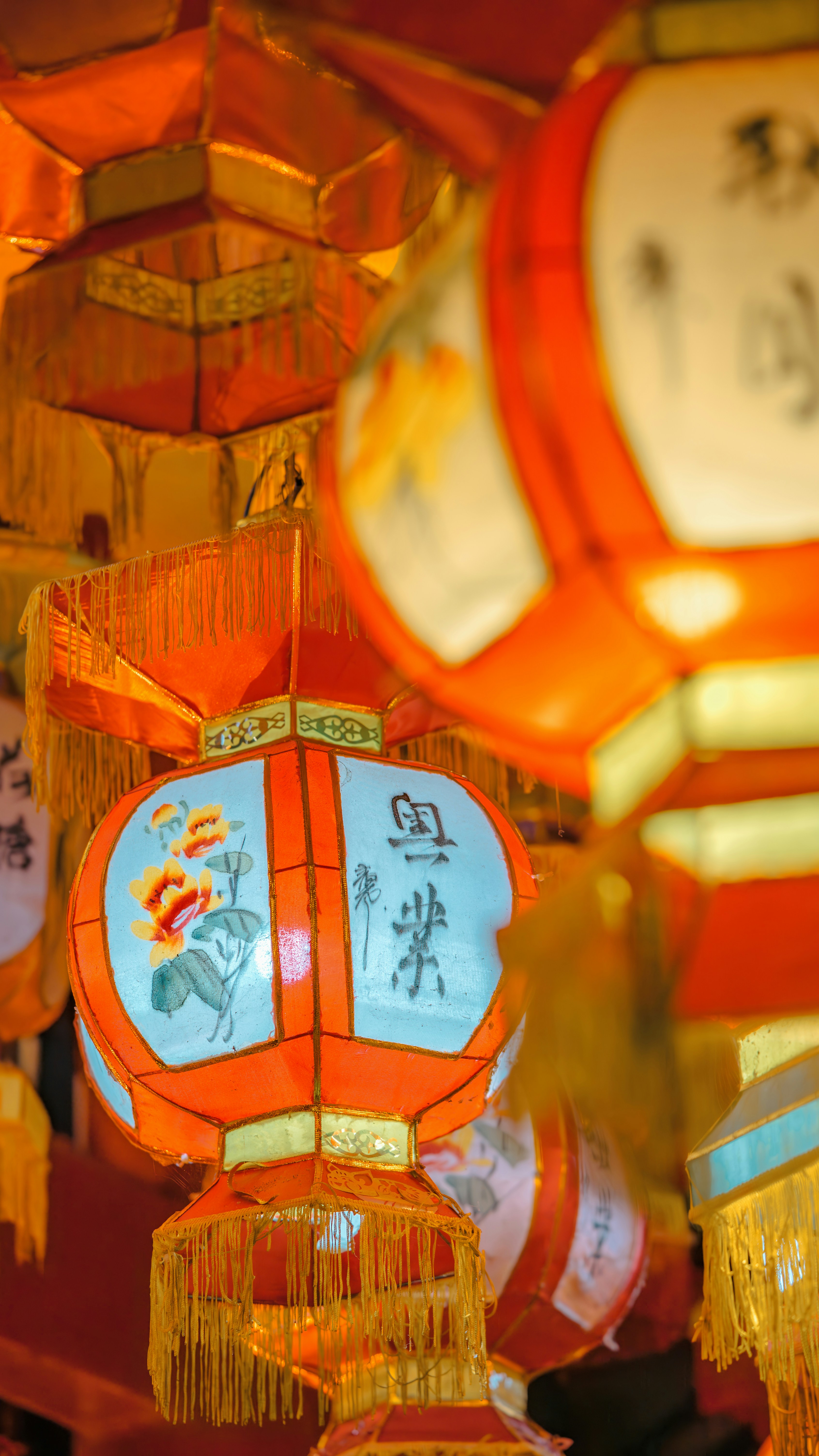 Photo by wangbinghua
