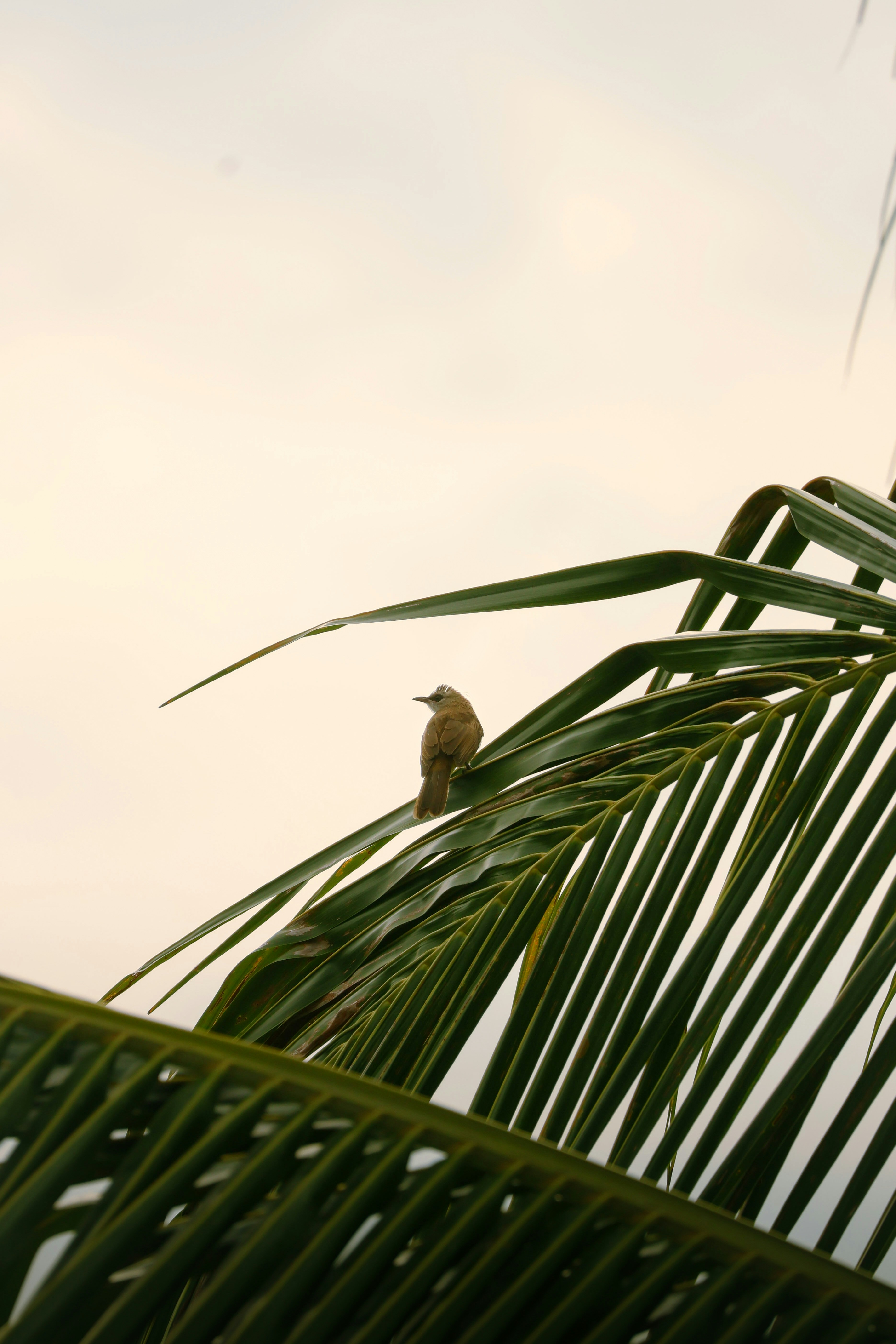 Photo by horseratbros