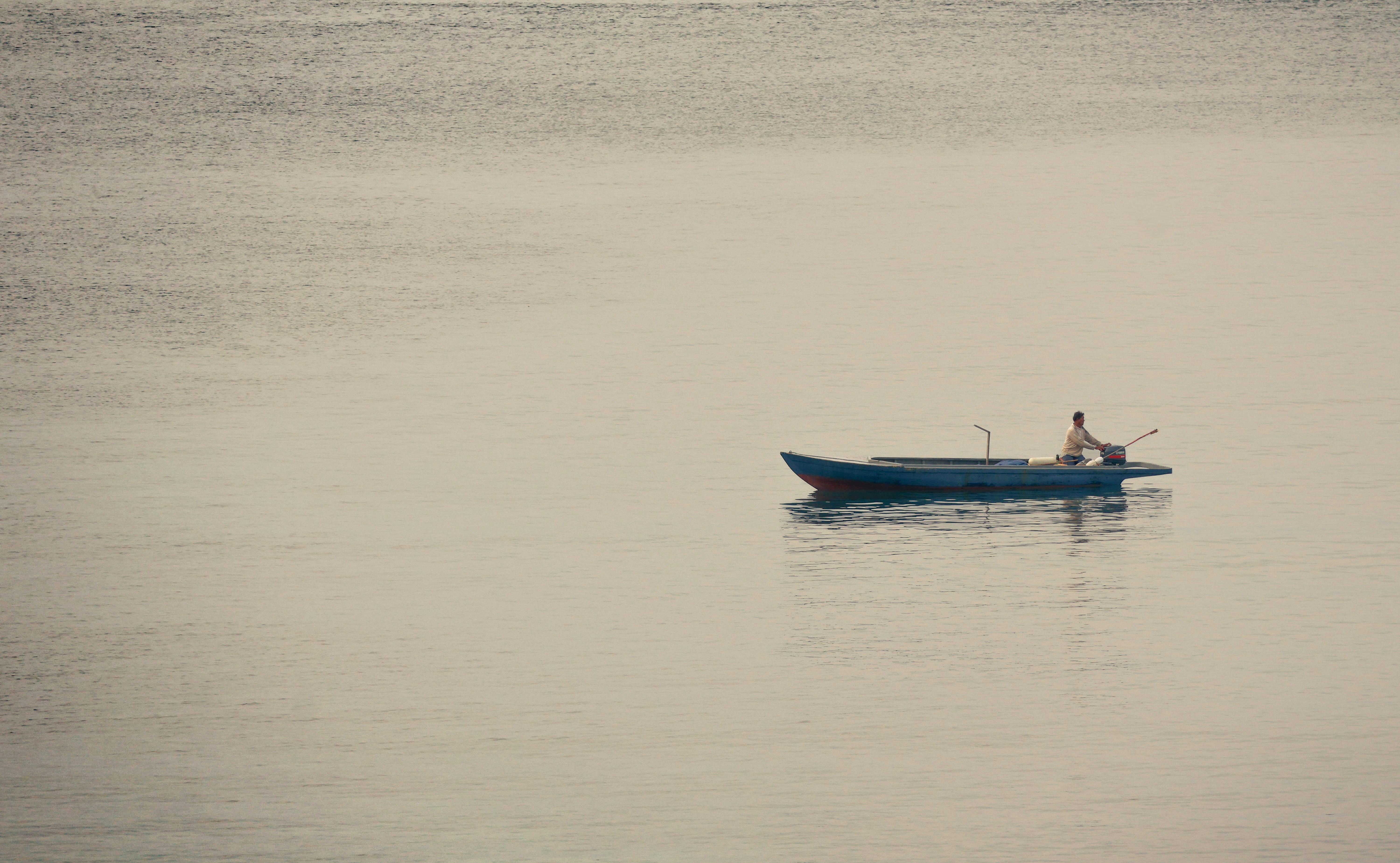 Photo by horseratbros