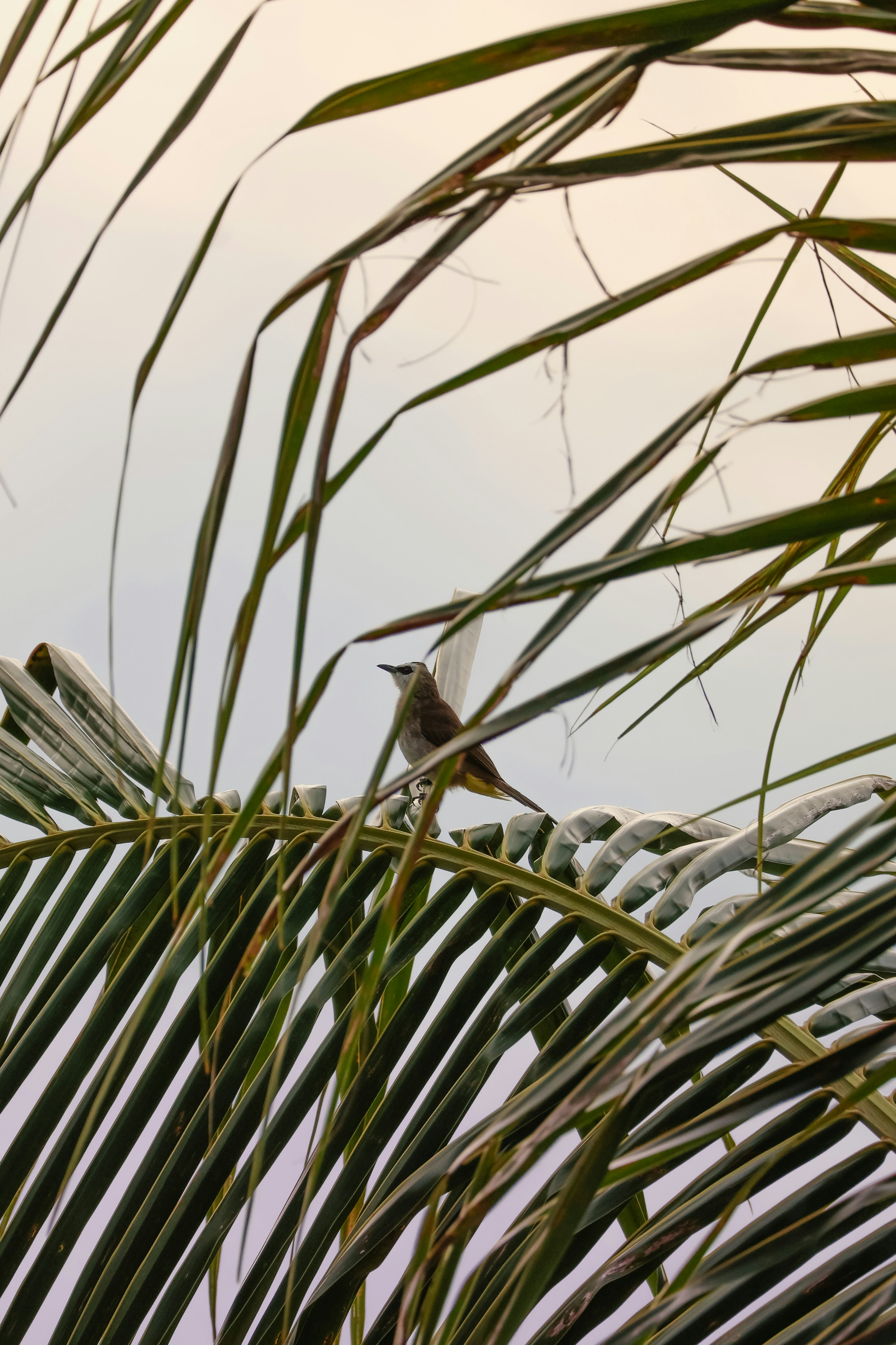 Photo by horseratbros