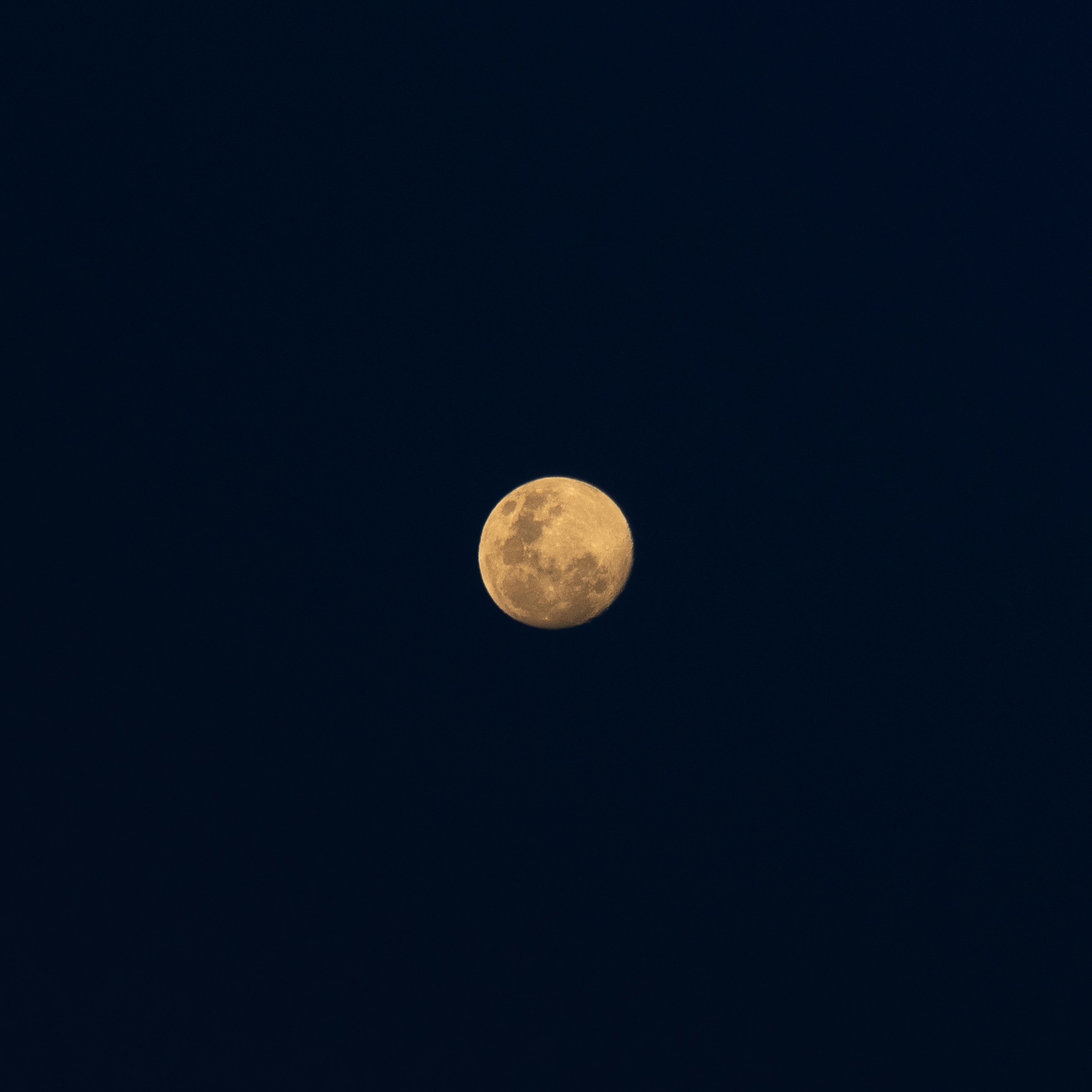 Photo by horseratbros