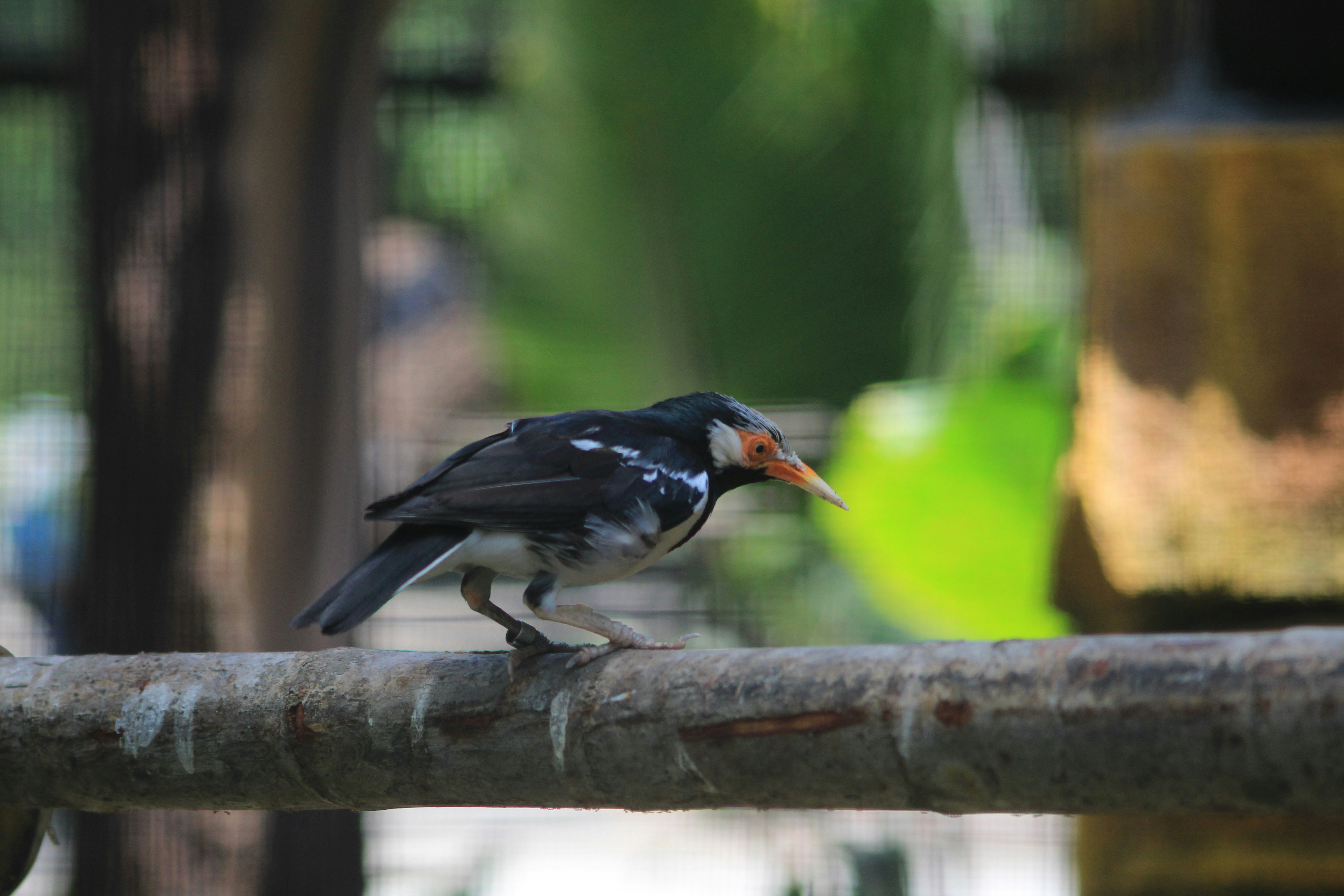 Photo by thisisgeipenko