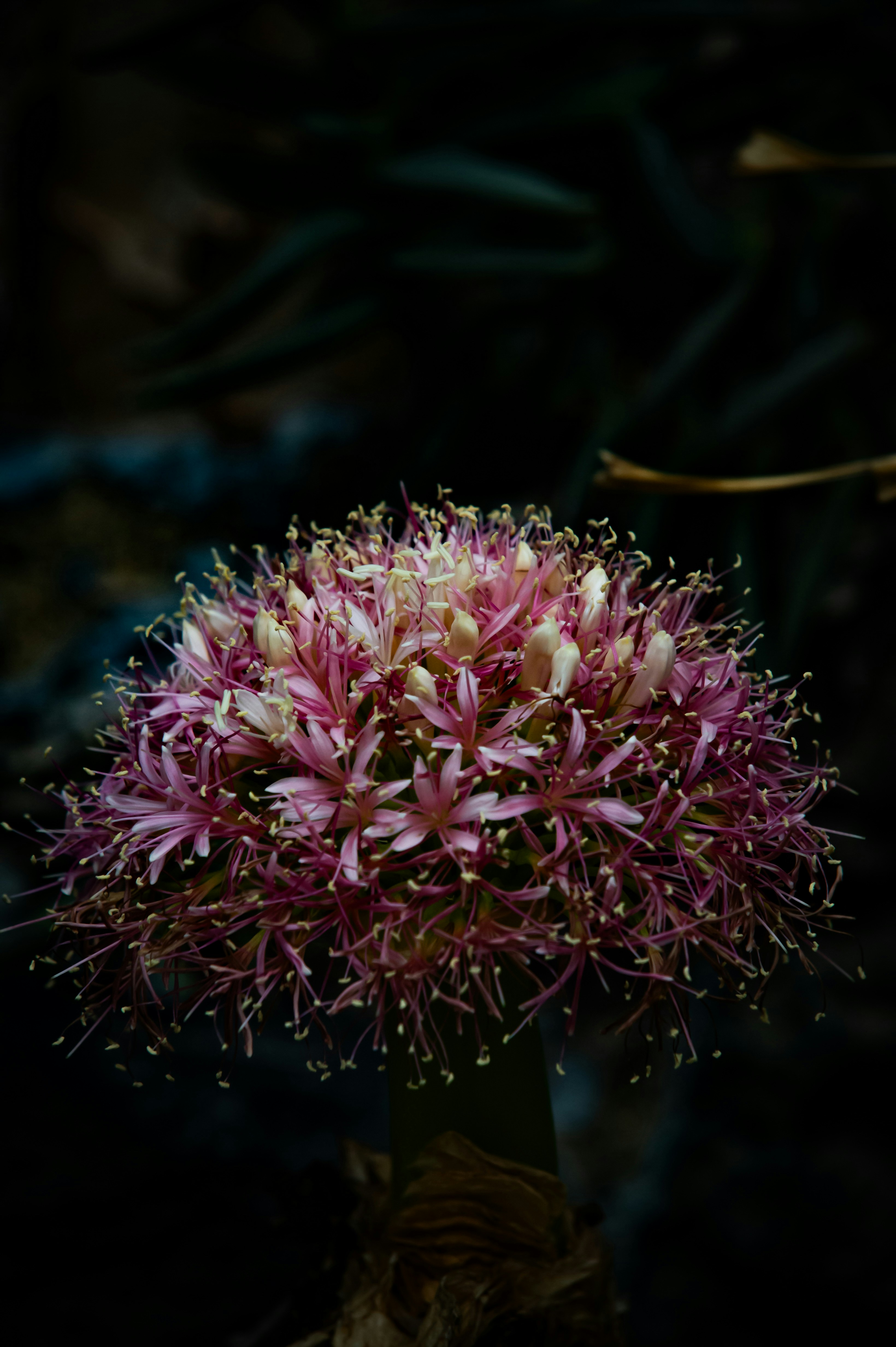Photo by isoten