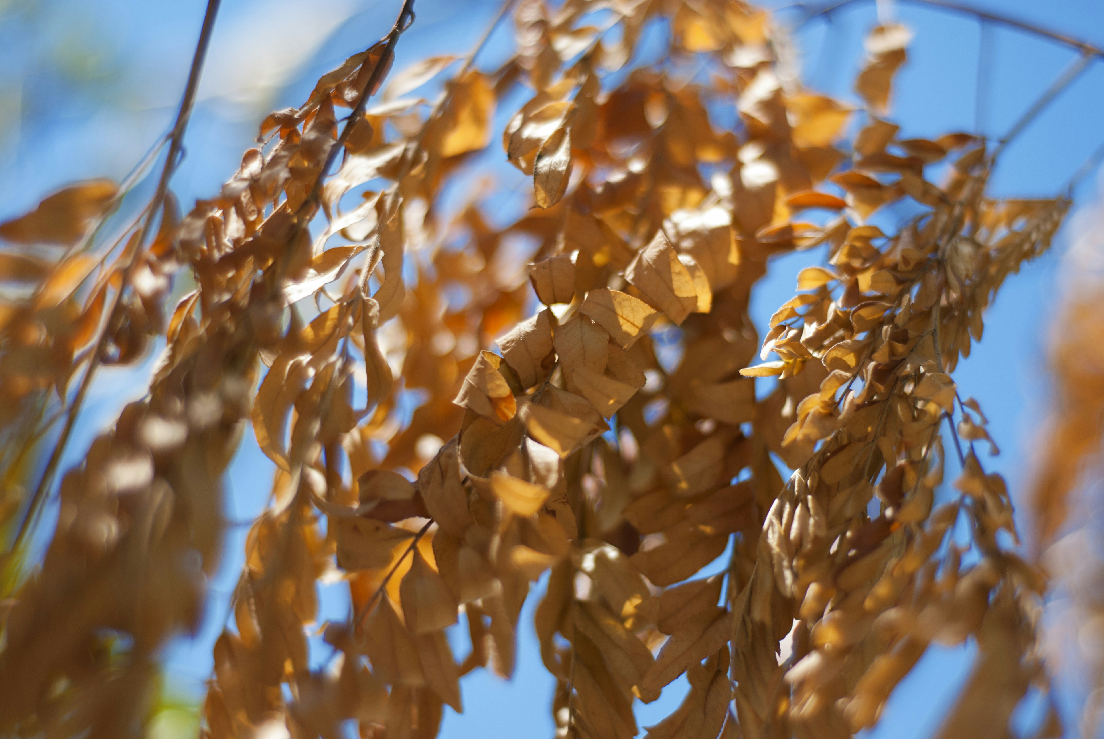 Photo by kovalskihelga