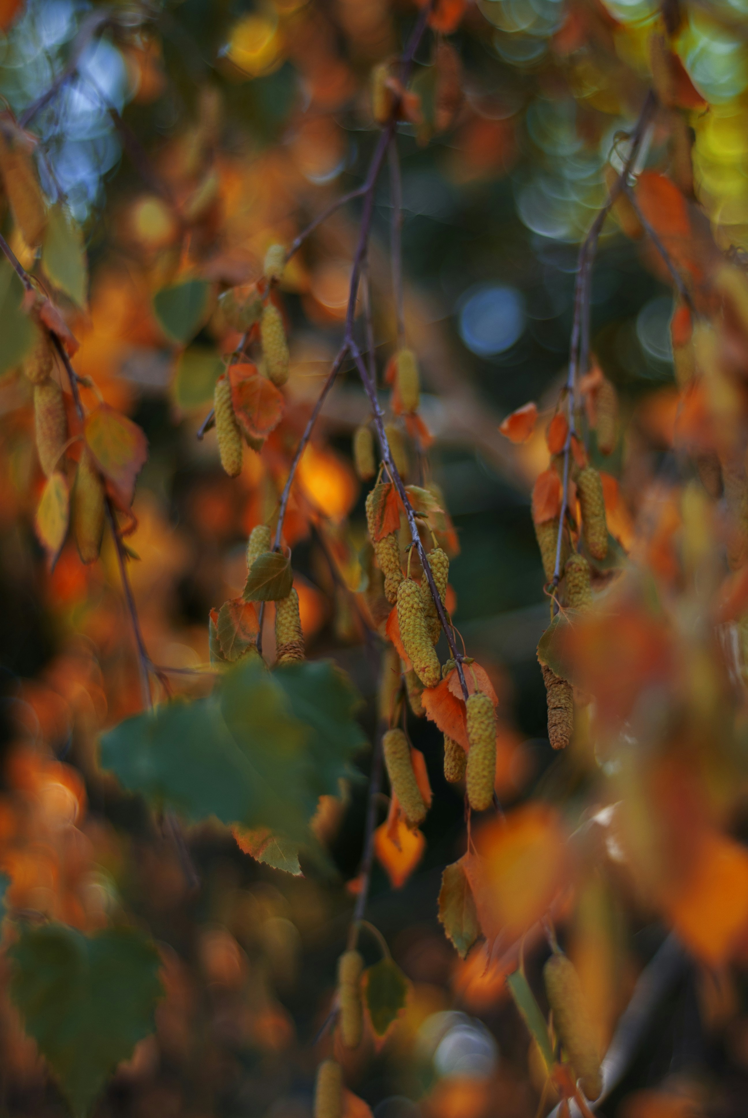 Photo by kovalskihelga