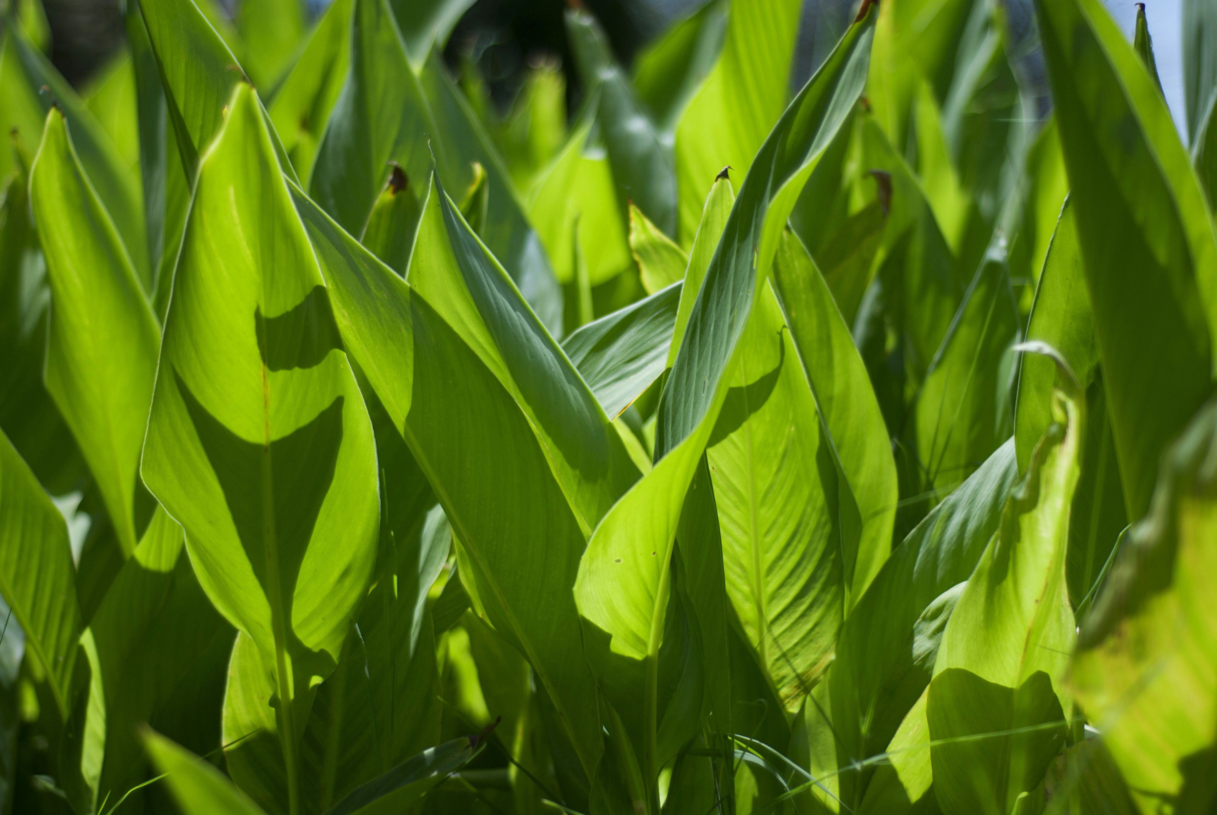 Photo by kovalskihelga