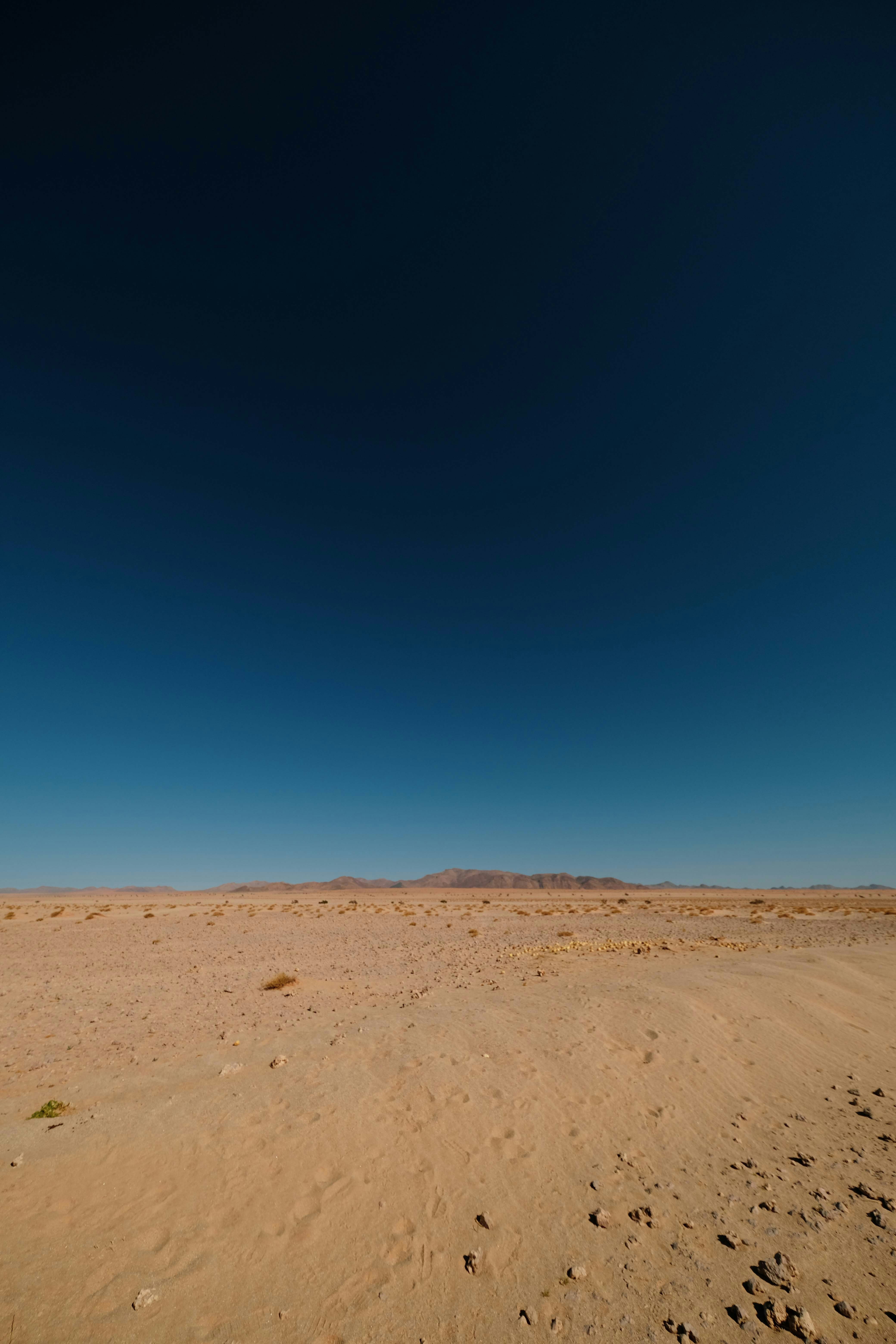 Photo by francesco_ungaro