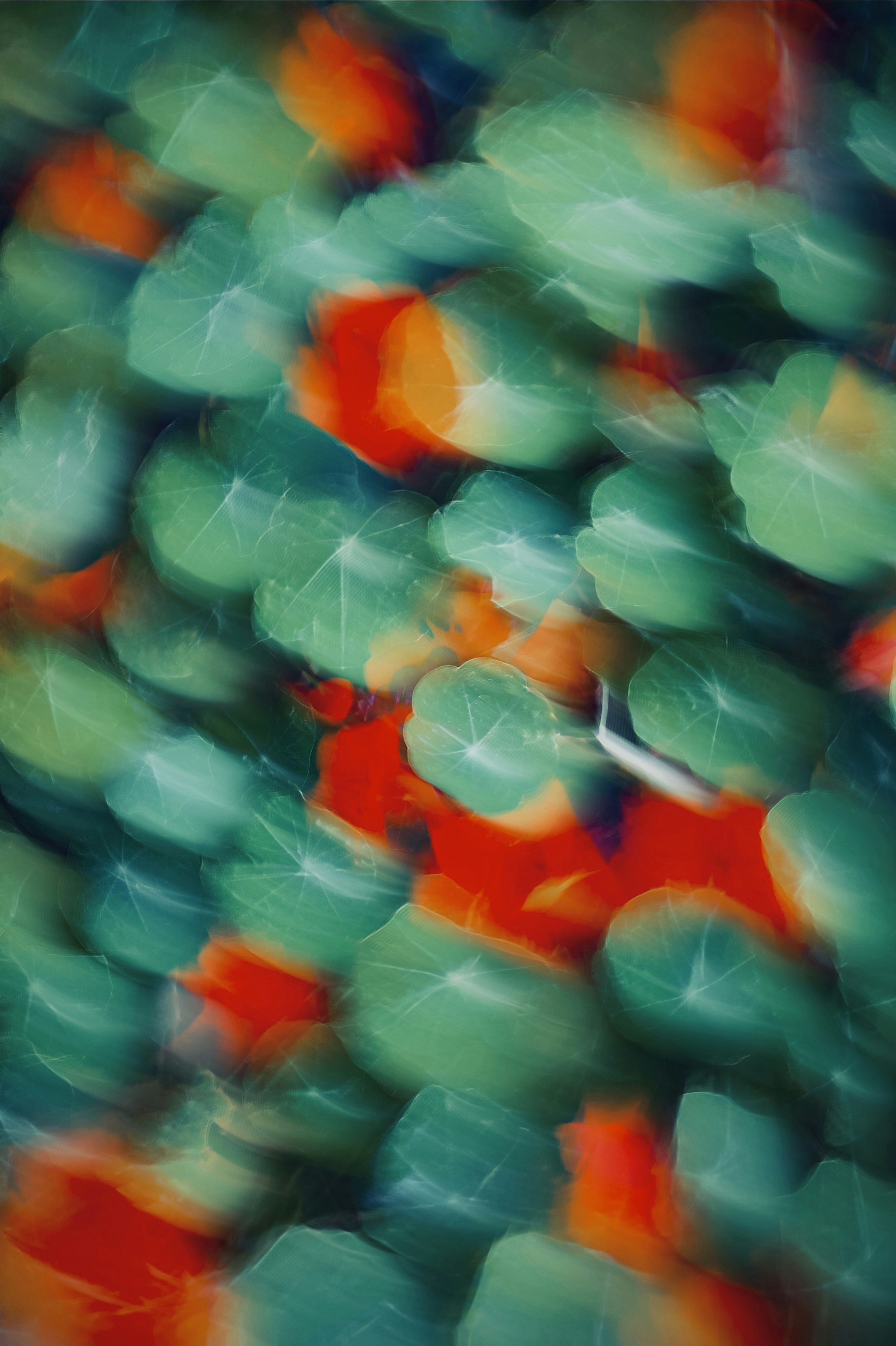 Photo by eugene_golovesov