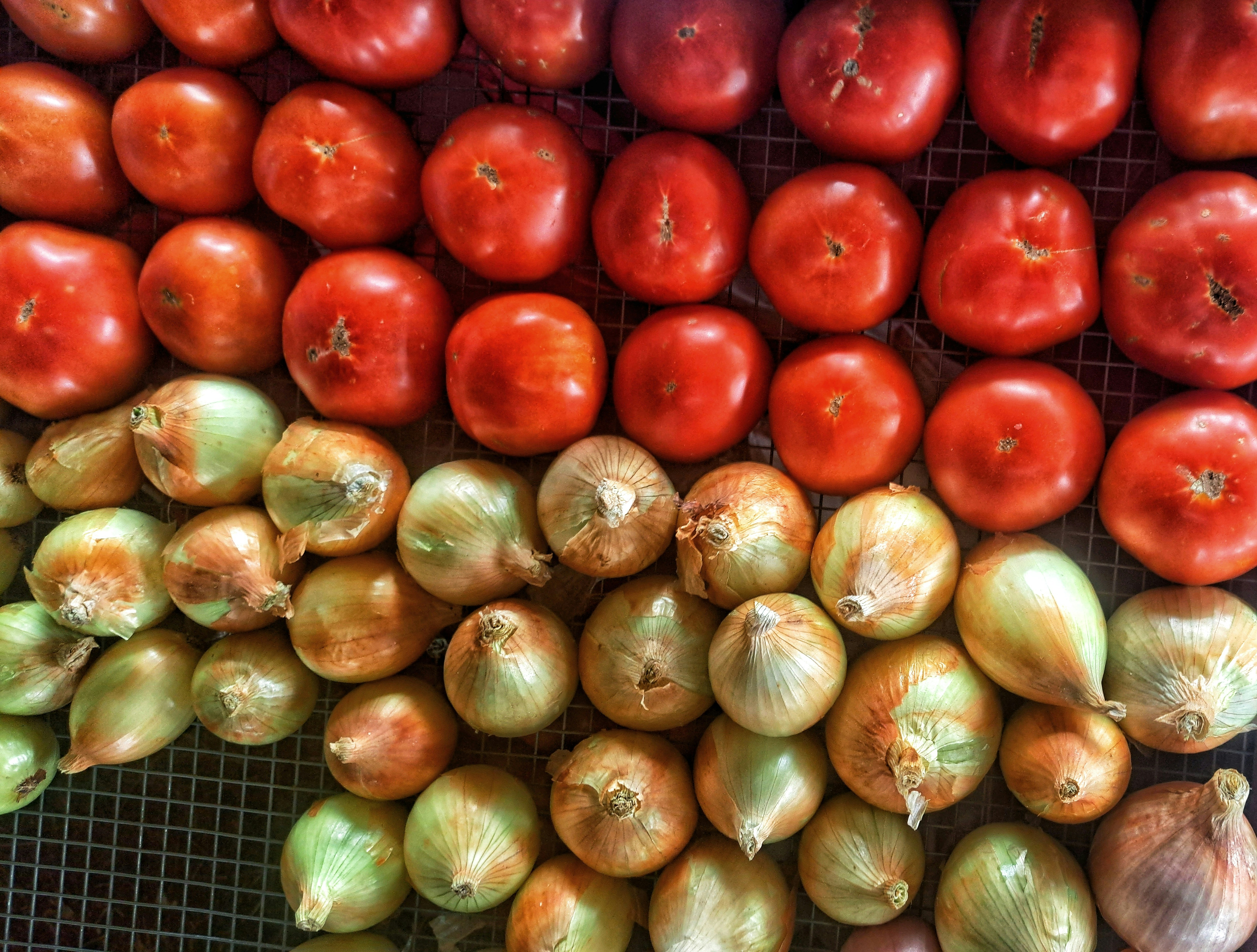 Collective Governance and Project Management