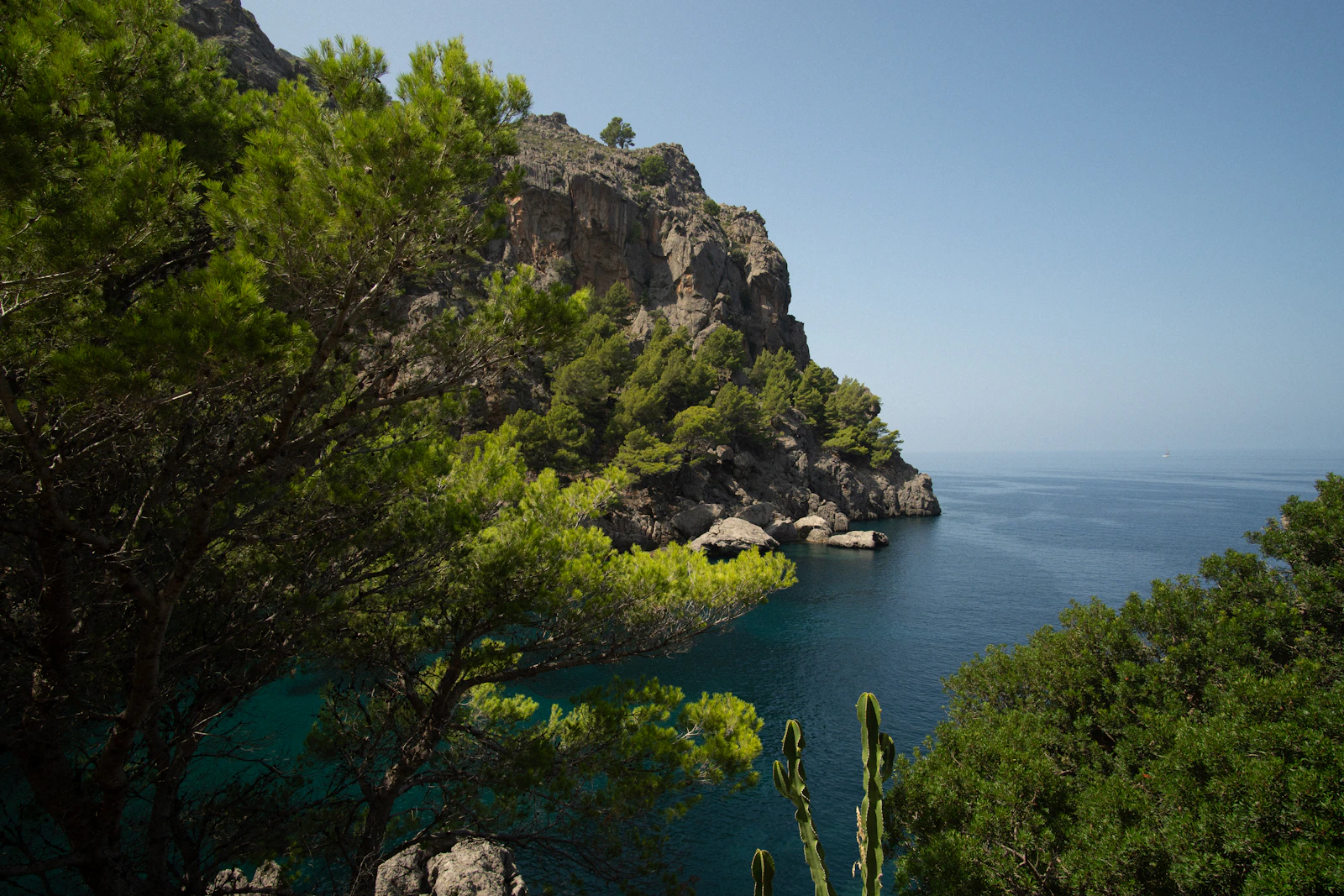 Bahía y pinares de Camp de Mar, suroeste de Mallorca — gestión de propiedades por SOLUXE
