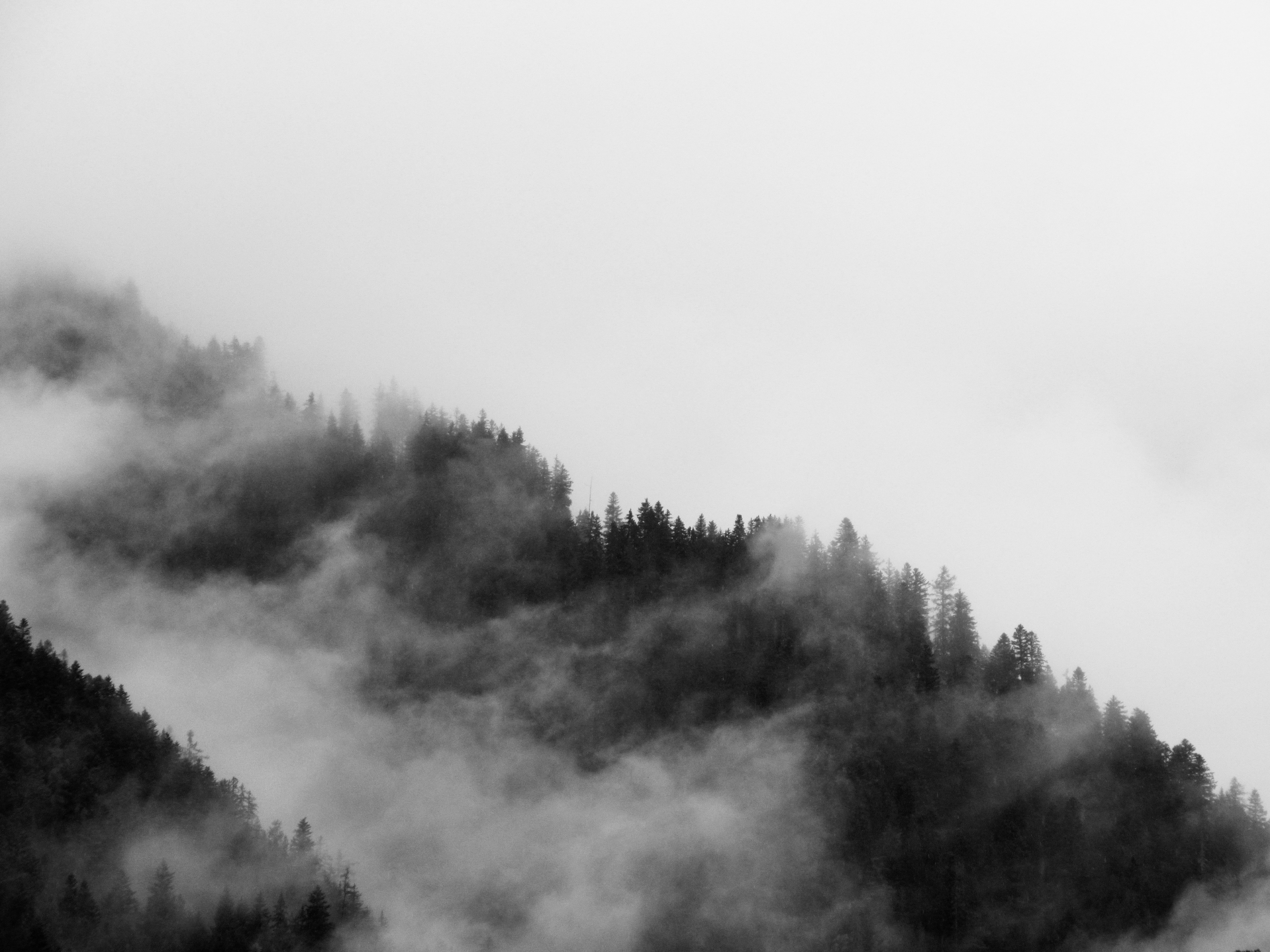 Photo by photoguy1234