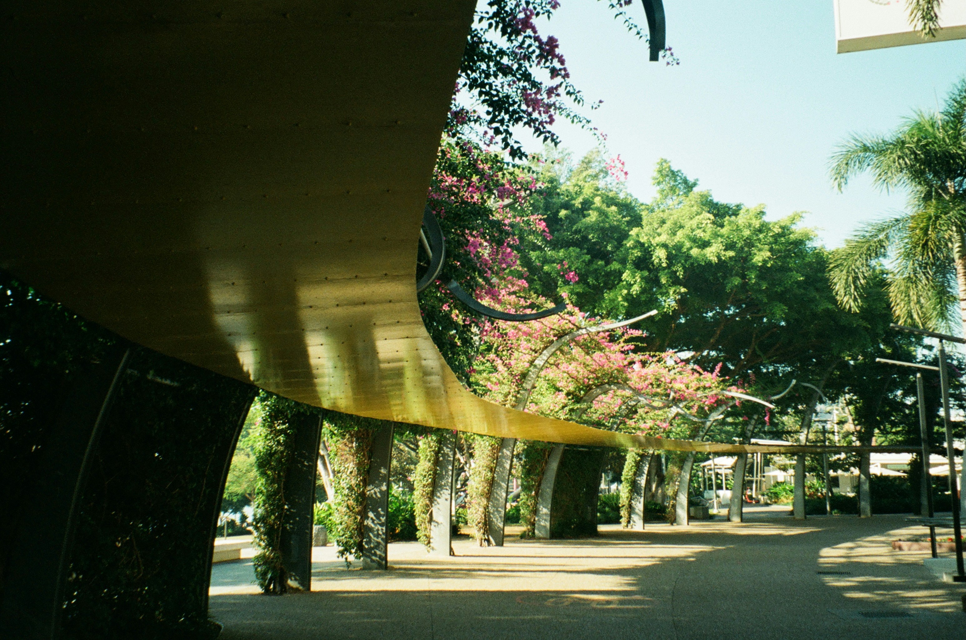 A view of a walkway with trees and a building in the background
