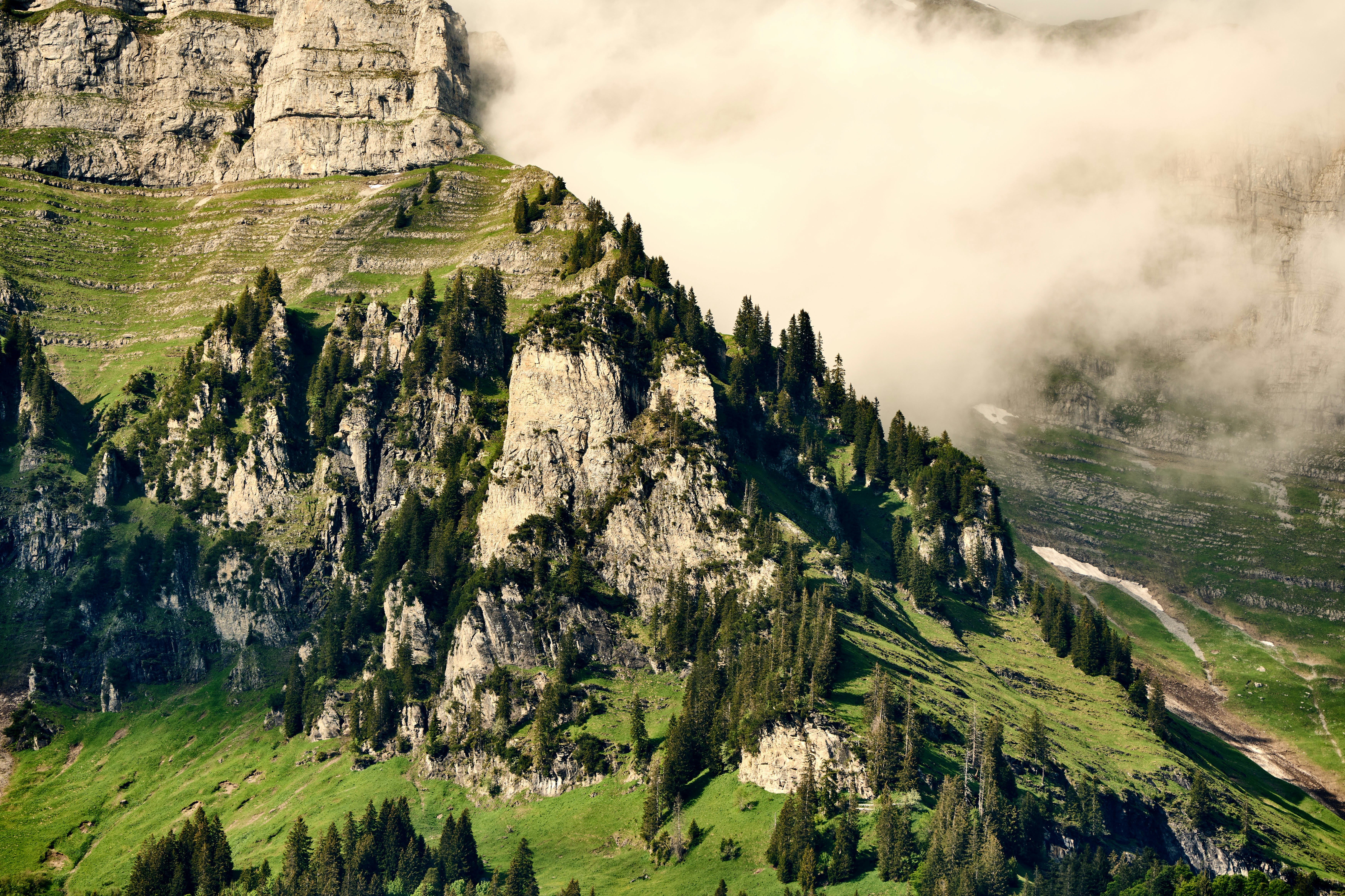 Photo by wolfgang_hasselmann