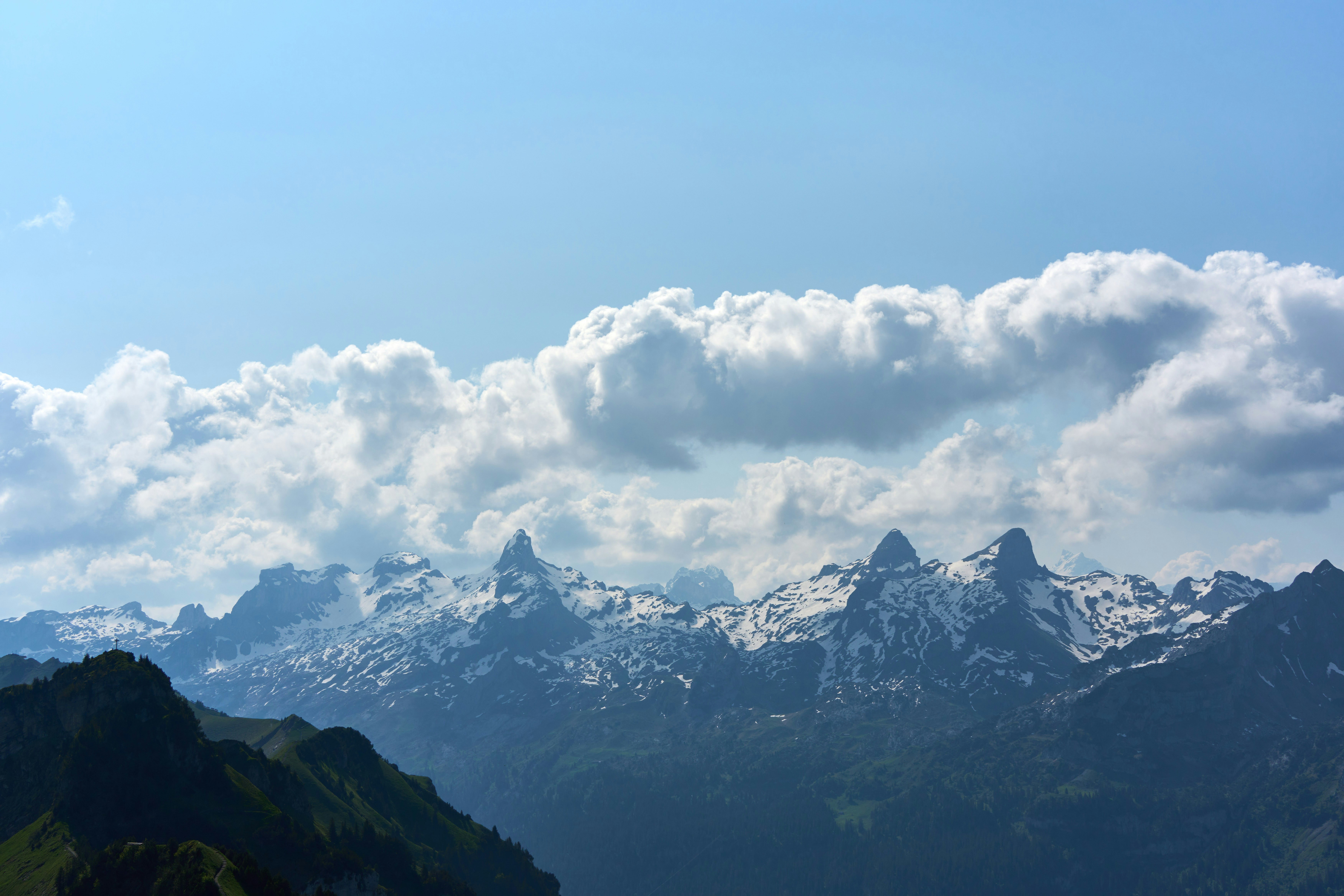 Photo by wolfgang_hasselmann