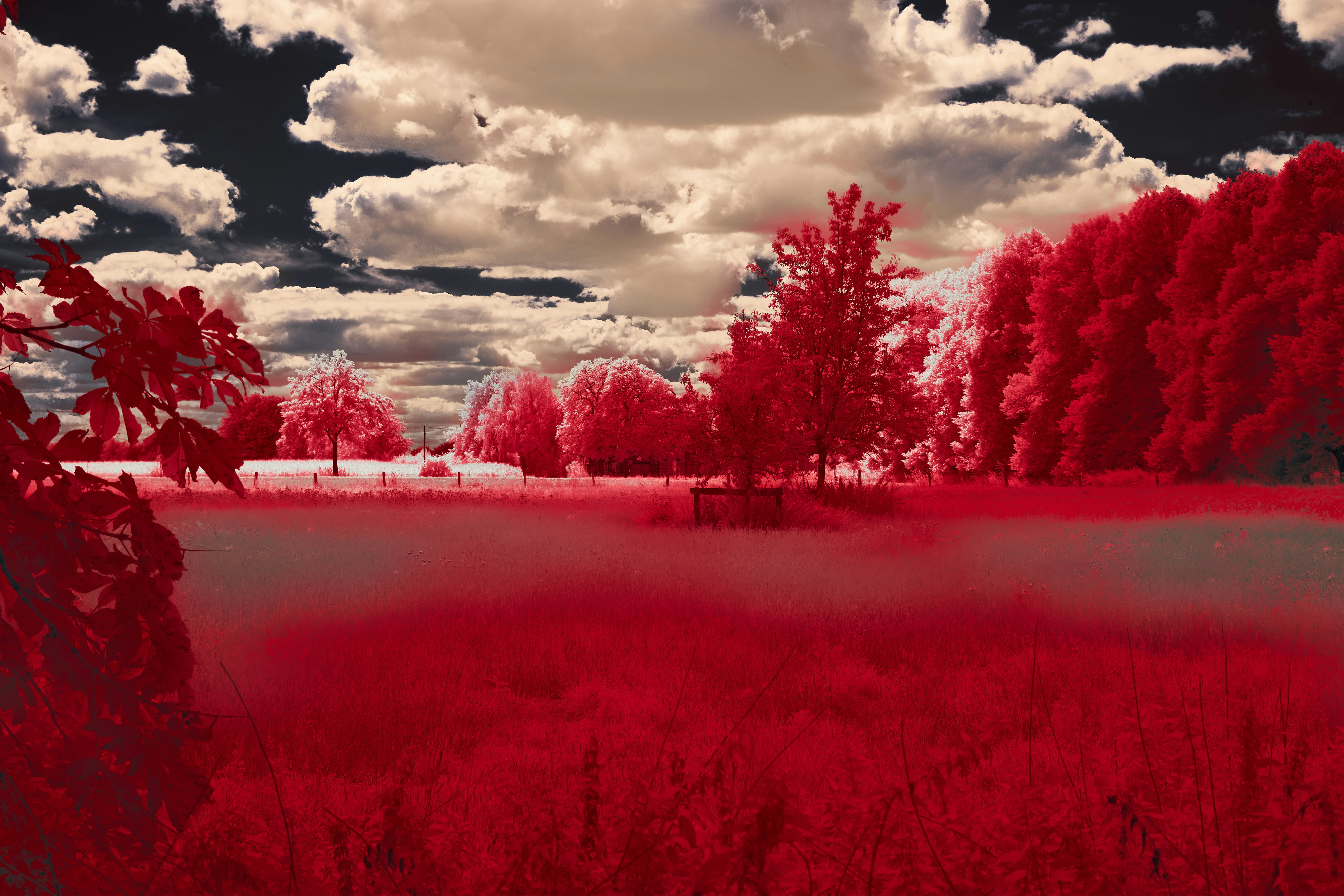 Photo by wolfgang_hasselmann