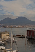A harbor filled with lots of boats next to a mountain