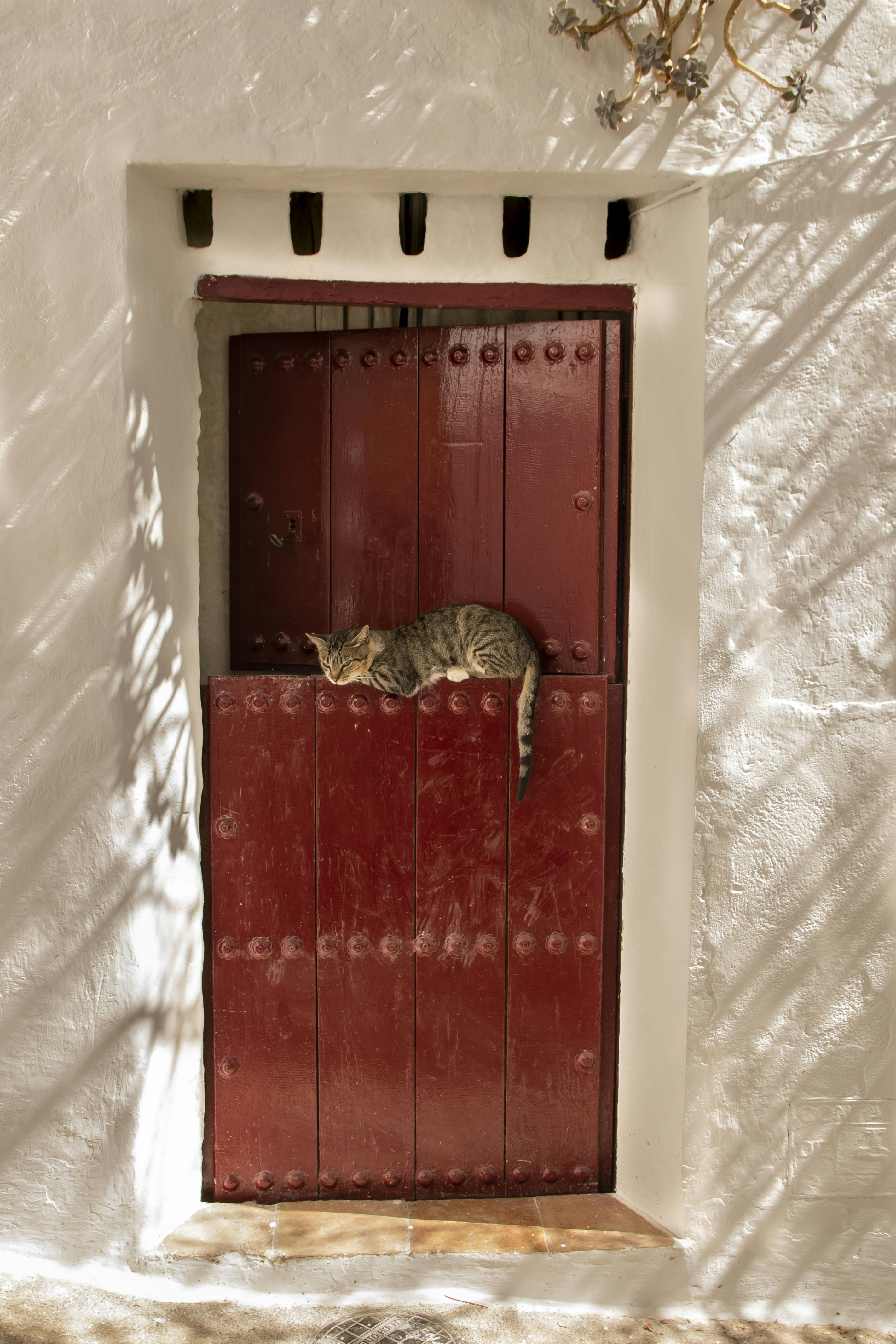 Photo by cervezasalhambra