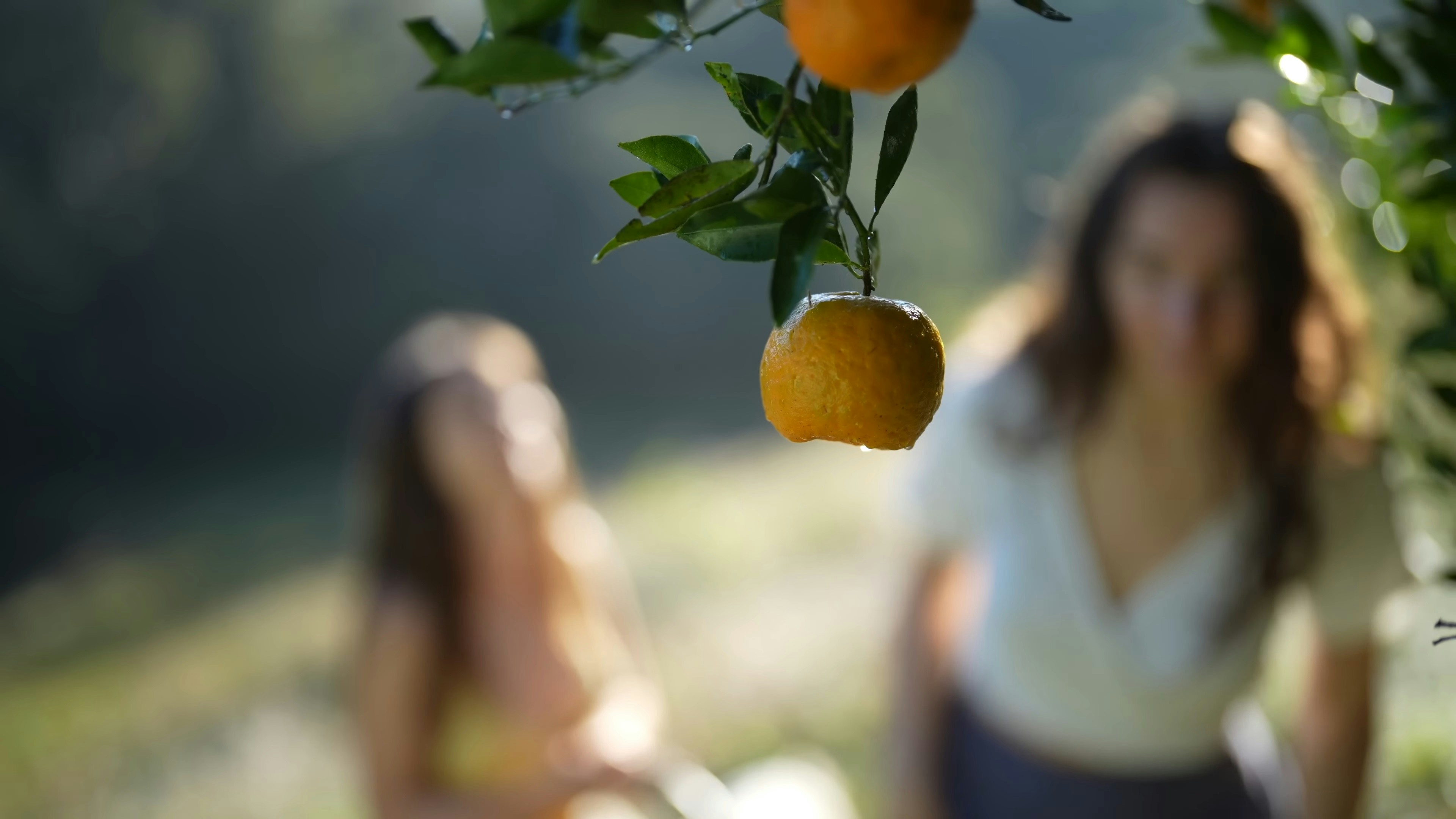 Photo by vinanditakarinanabilla